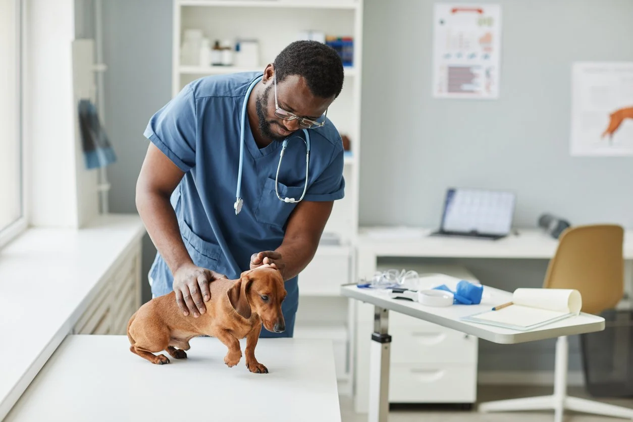 POISE Announces New Scholarship Fund Aimed at Increasing Diversity in Veterinary Field