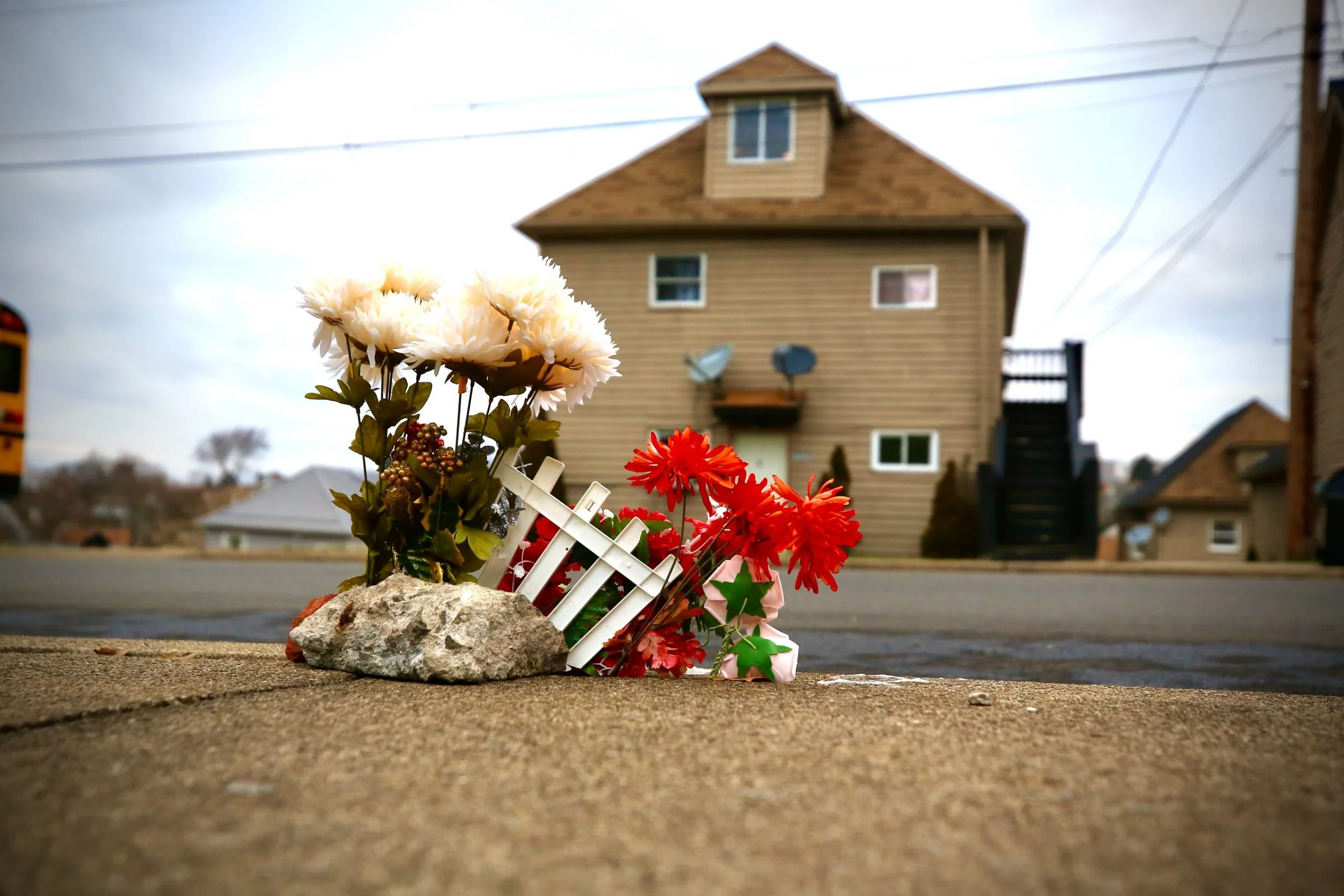 Op-Ed: EVICTED WHILE BLACK