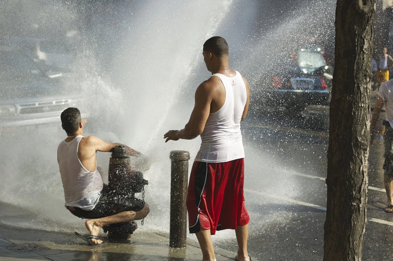 This Week In White Supremacy | In The Heights