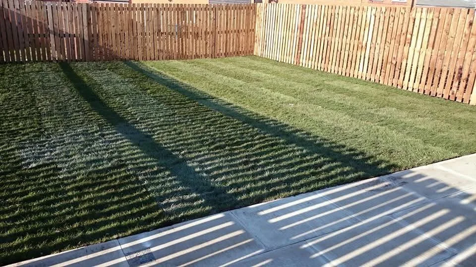 A backyard with a new green lawn, wooden privacy fence, and a concrete patio. Shadows cast by the fence create striped patterns on the grass and patio.