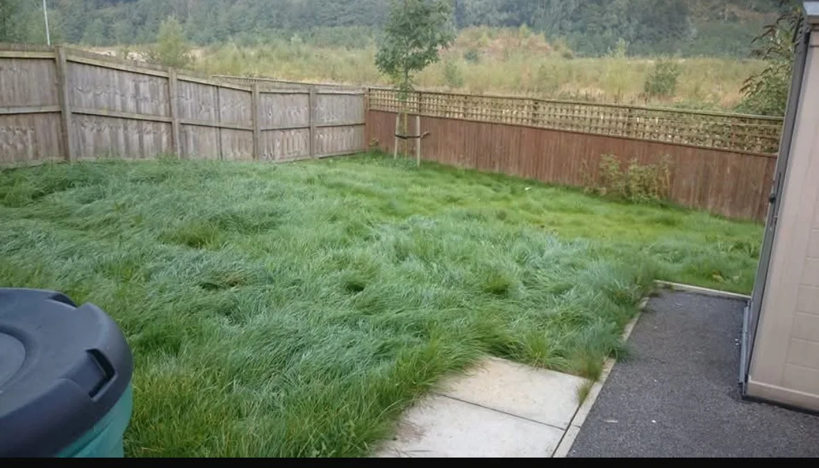 A backyard with overgrown grass surrounded by a wooden fence, with a concrete patio and some trees and hills in the background.