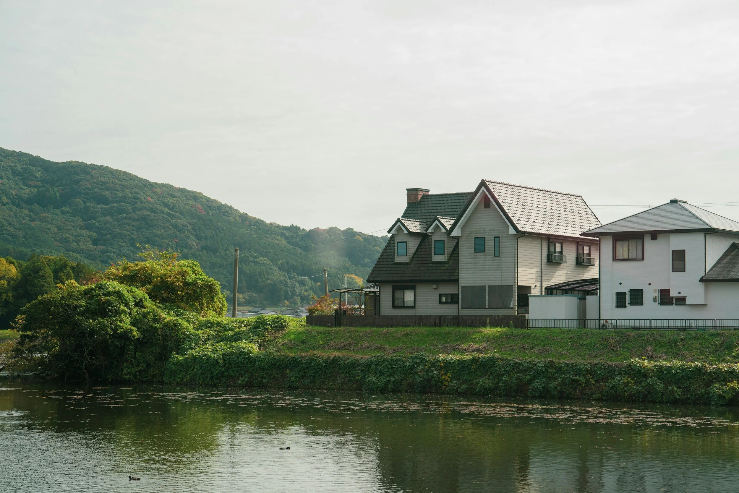 Residential houses by a river with a wooded hillside in the background.
