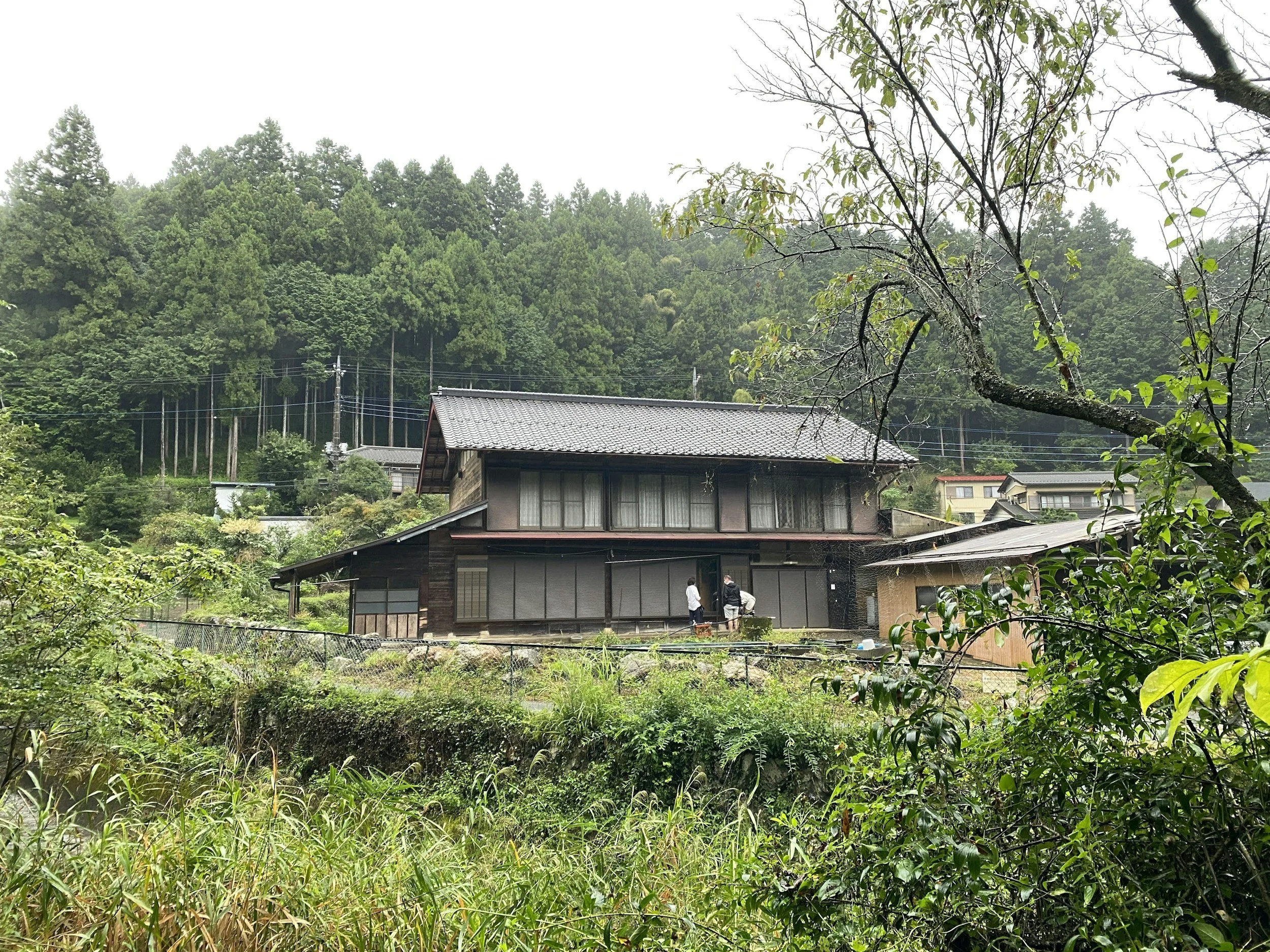 Traditional Japanese wooden house surrounded by lush greenery and tall trees, overcast sky.