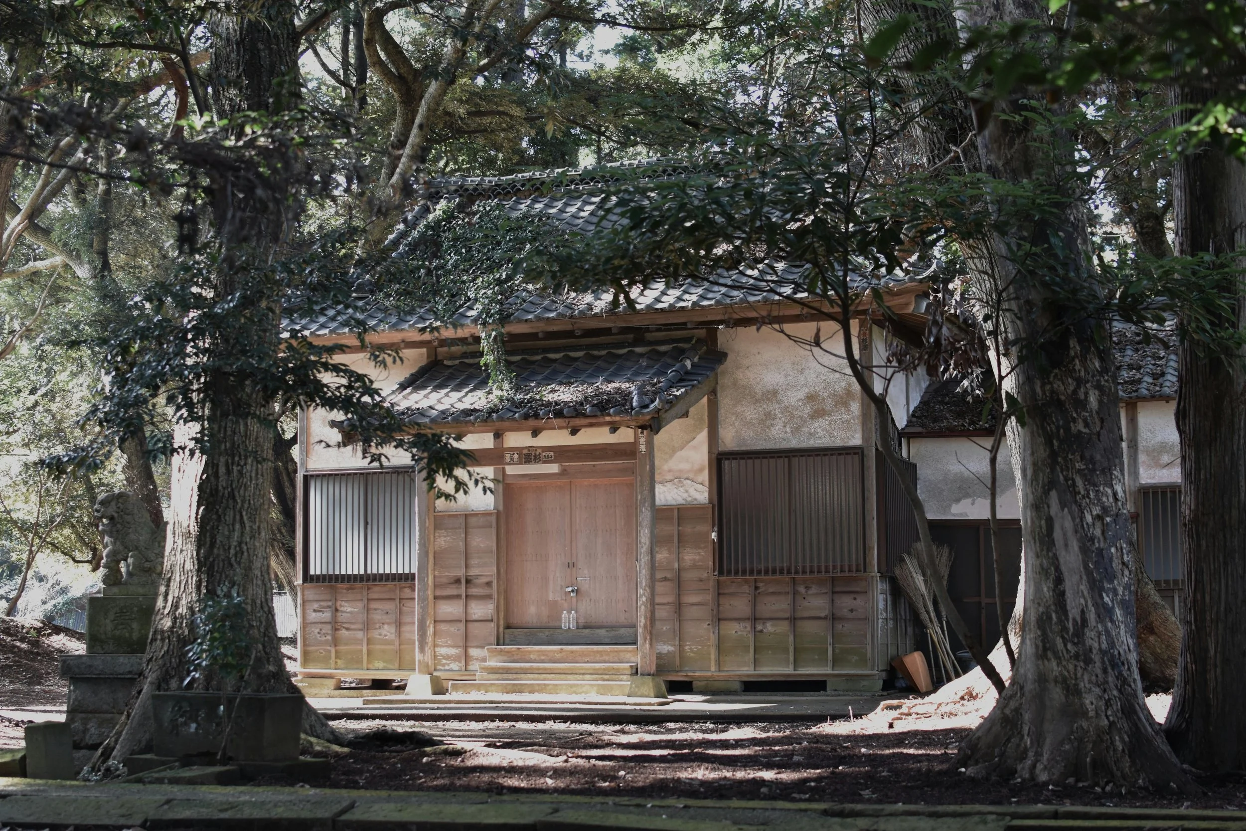 A traditional Japanese wooden shrine surrounded by large trees with sunlight filtering through the leaves.