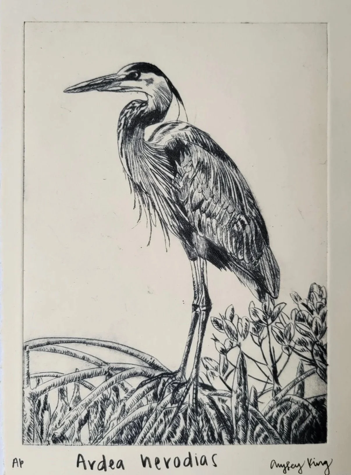 Printmaking