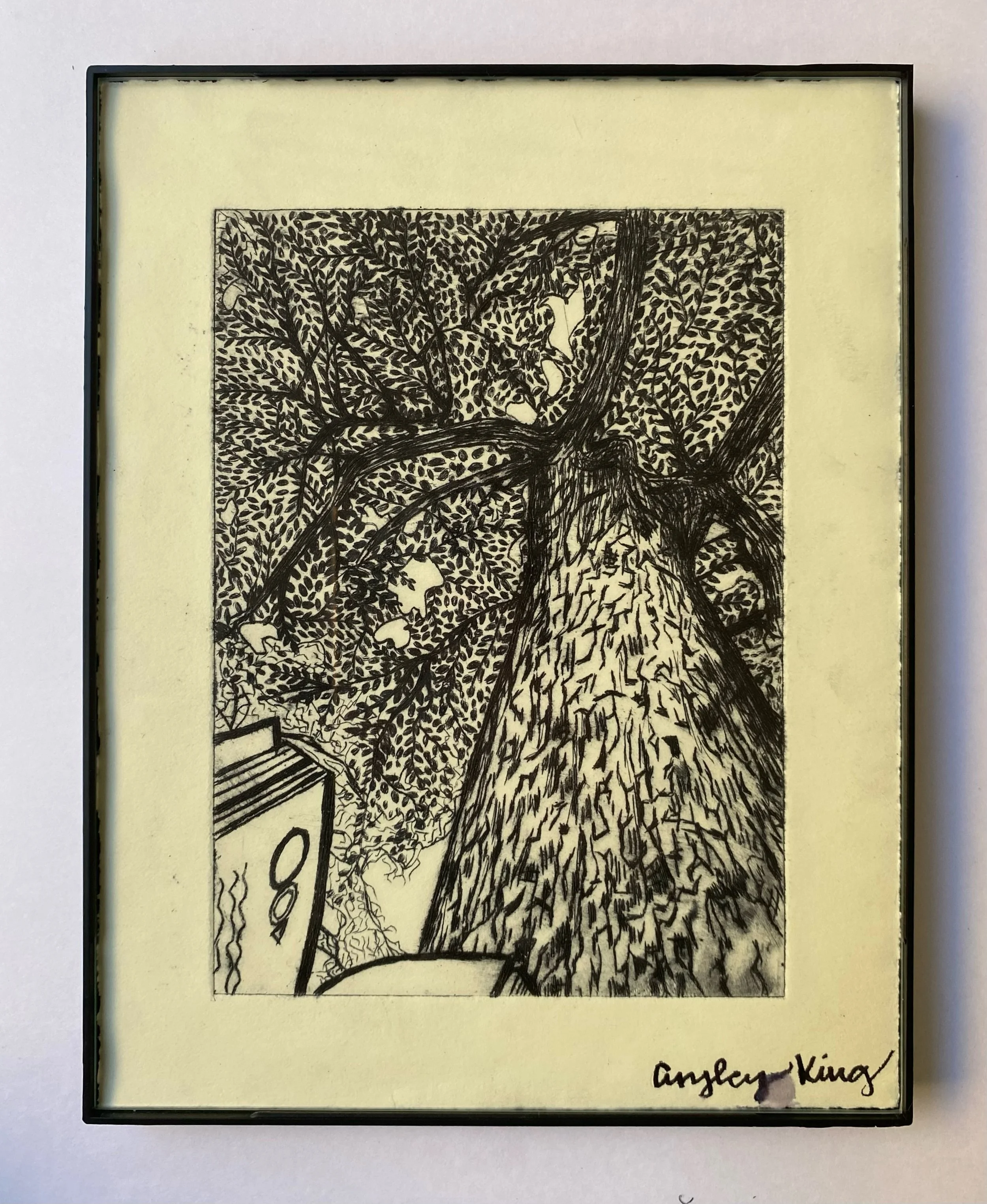 Etching of tree:book.jpeg
