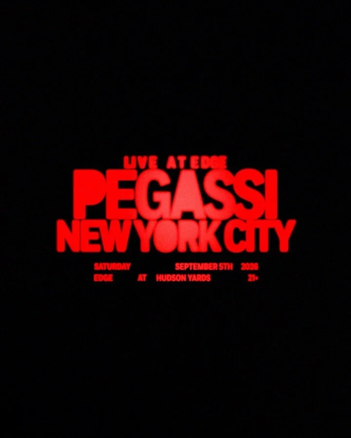 PEGASSI NYC

Graphic piece for @pegassimusic&rsquo;s upcoming New York City show at Edge.