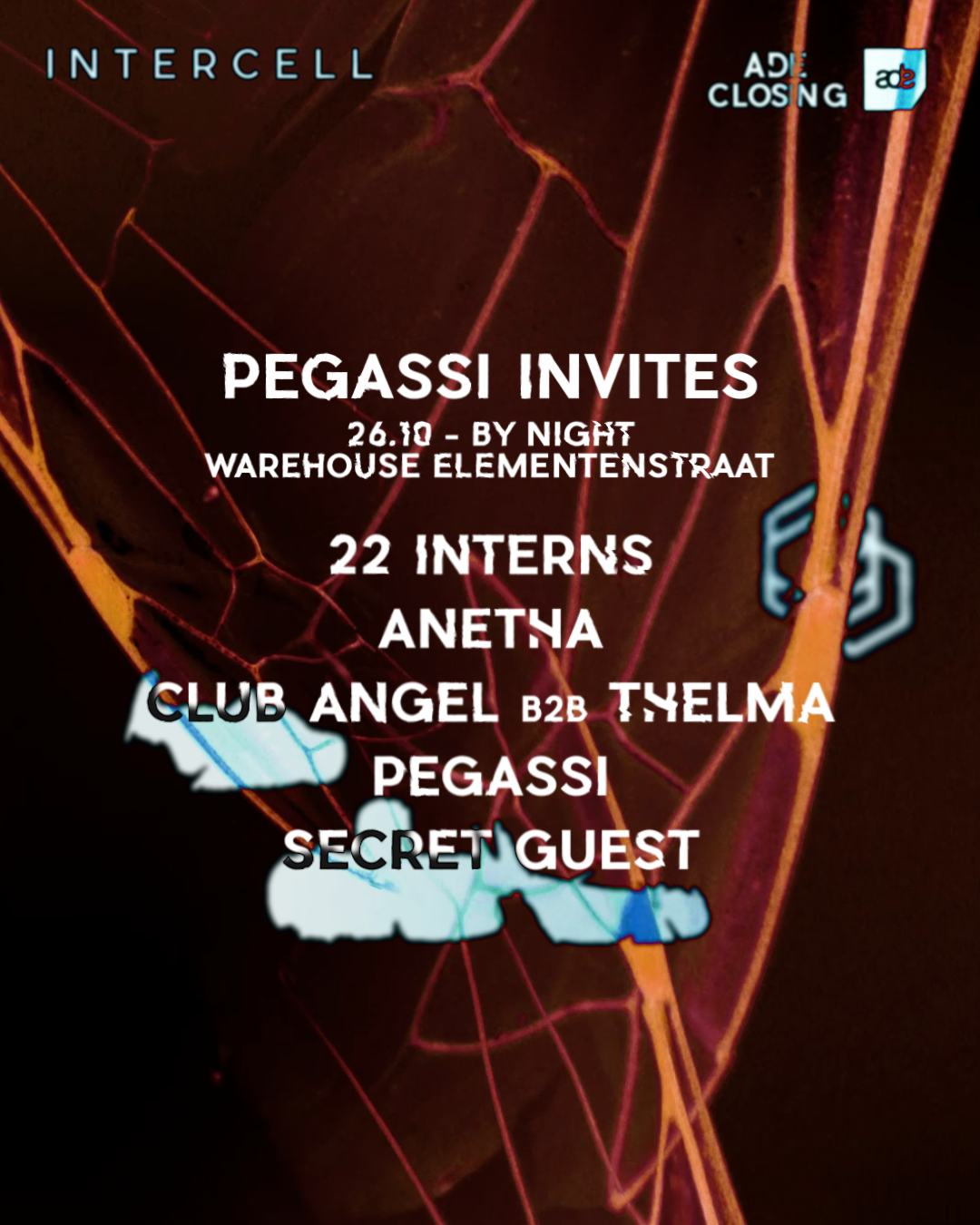 Pegassi - 1080x1350.png
