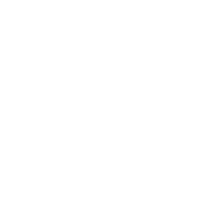 Terminal V.png