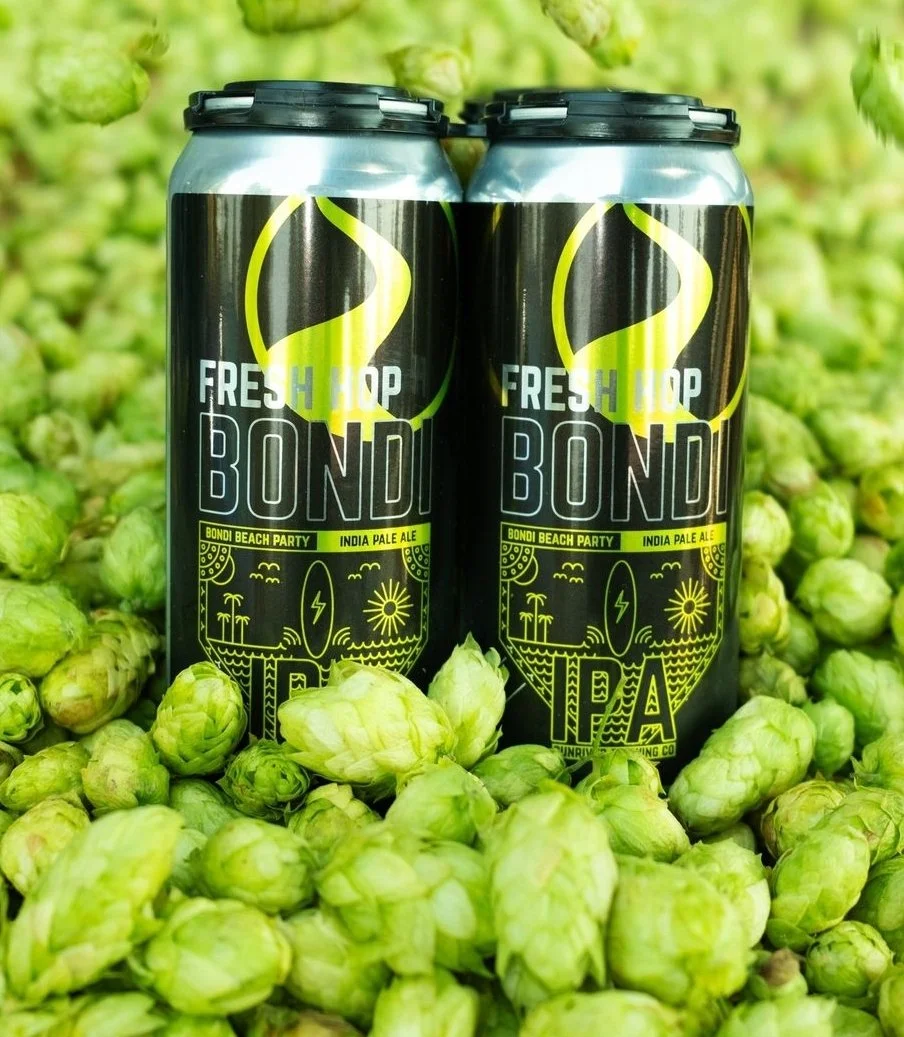 Two cans of Bondi Fresh Hop IPA surrounded by fresh hops.