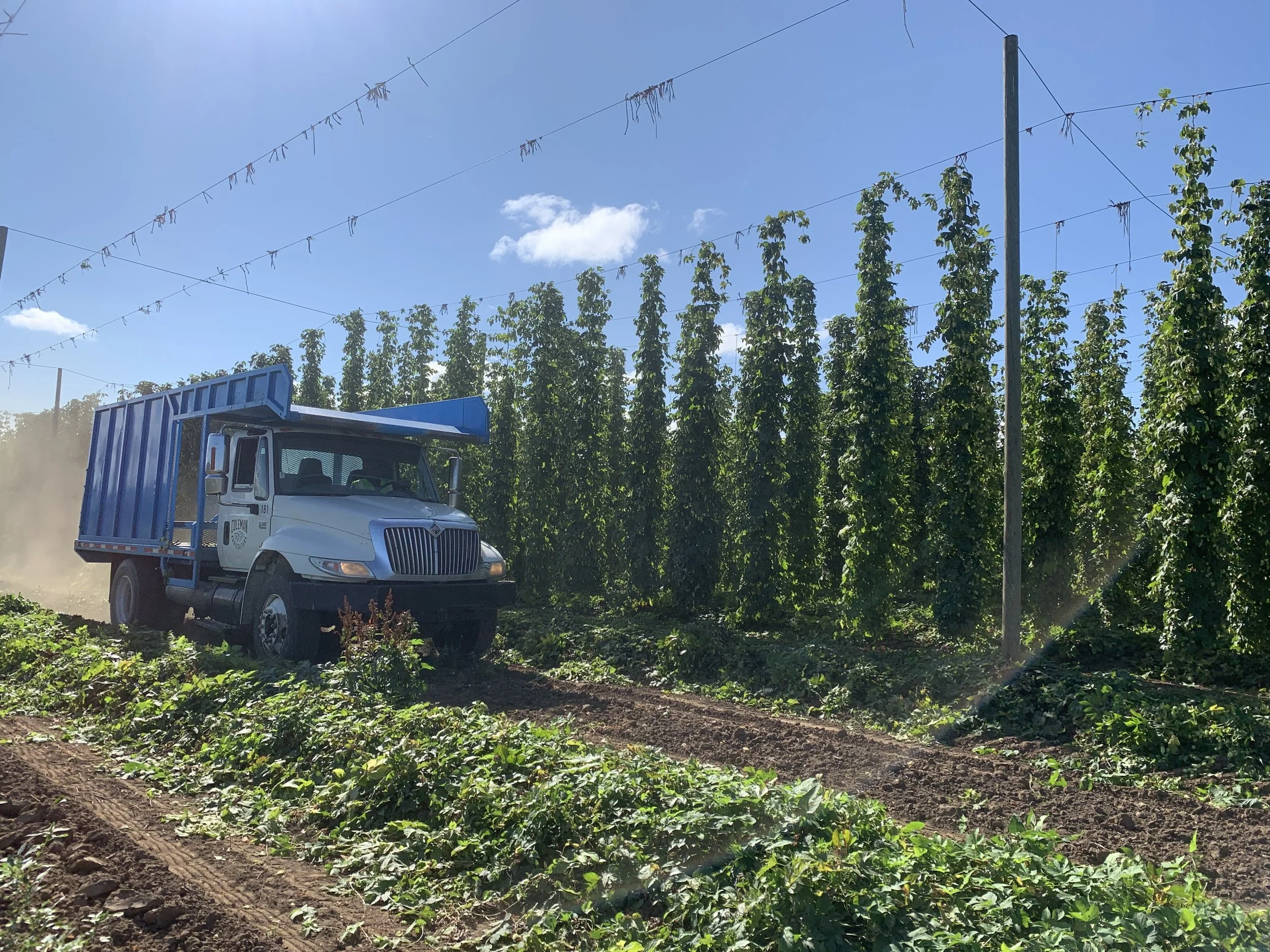 Coleman_Hop-Truck.jpg