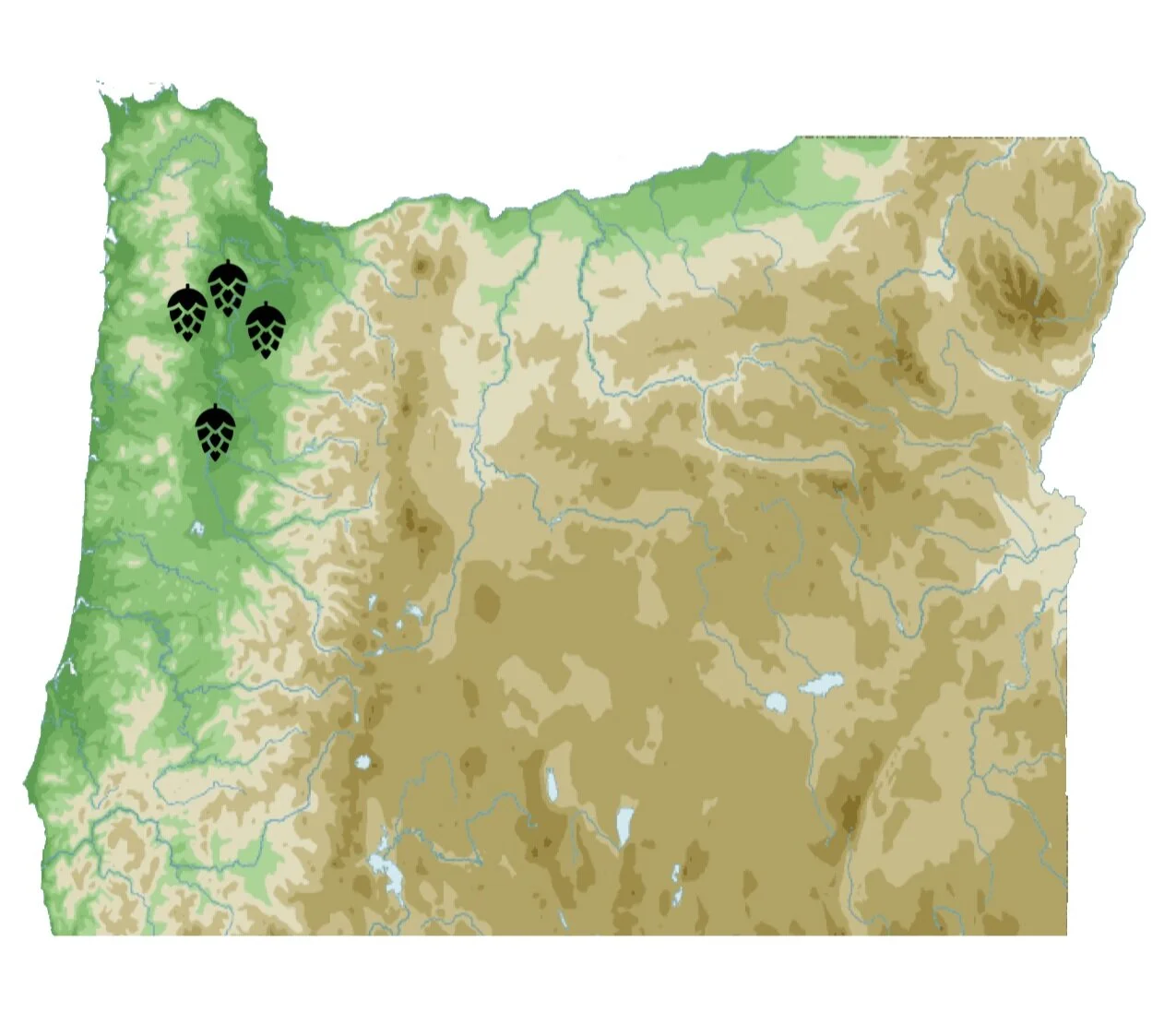 Coleman+hop+terroir+hop+farm+Willamette+Valley