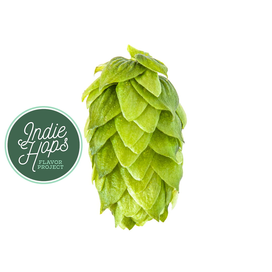 Green hop cone next to "Indie Hops Flavor Project" logo on white background.