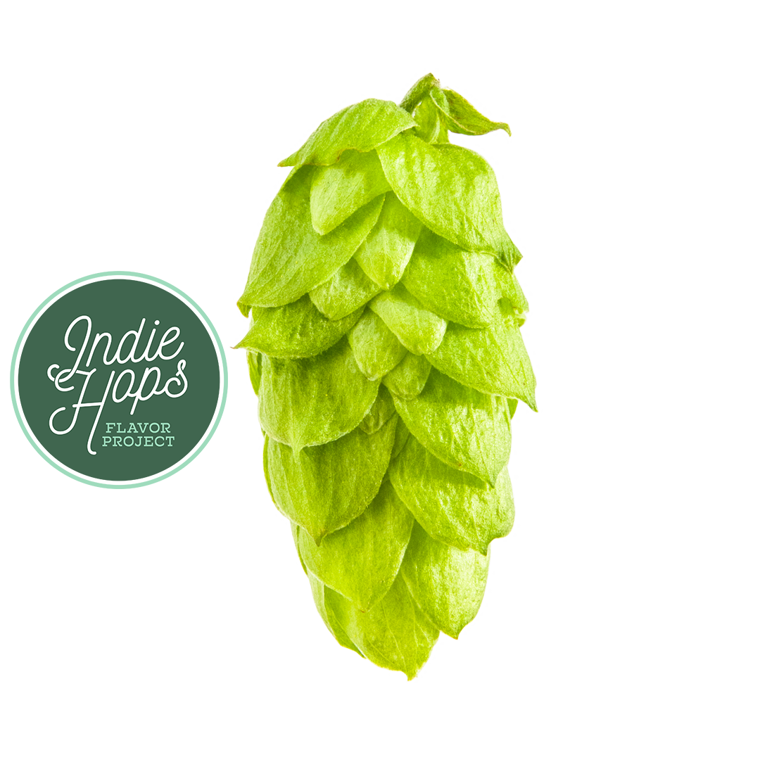 Green hop cone with Indie Hops logo.