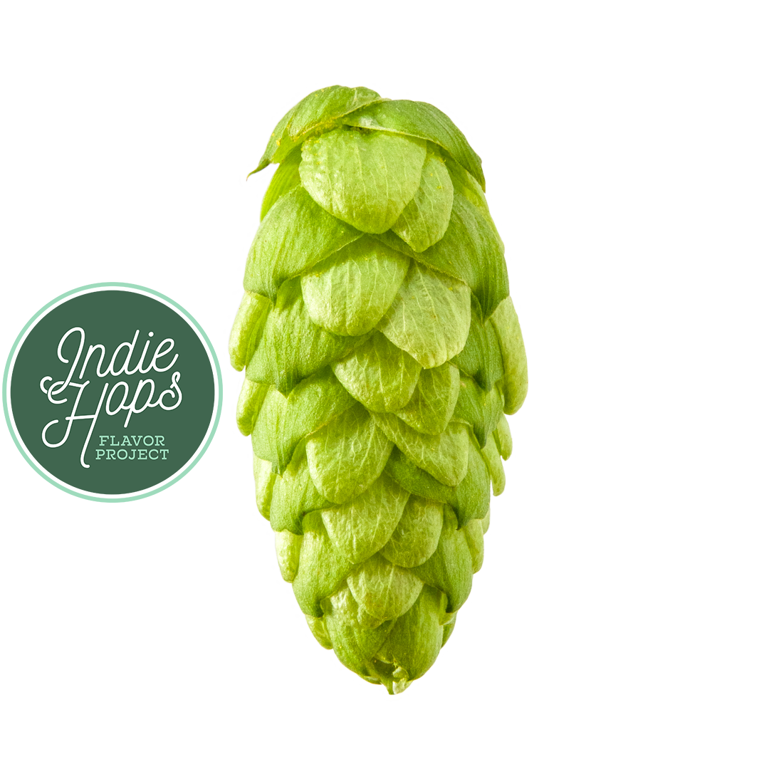 Green hop cone next to "Indie Hops Flavor Project" logo.