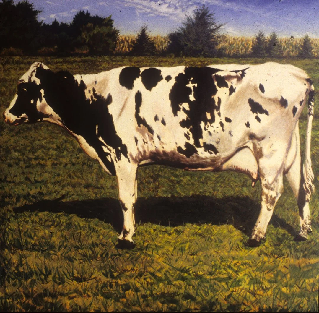 Grazing – 50 x 50.  Oil/Canvas.  NA