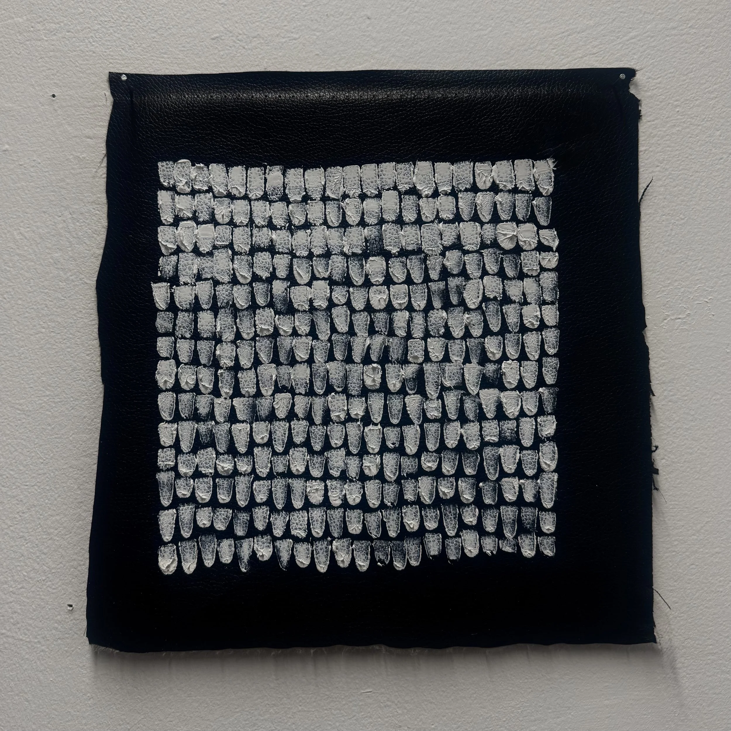 Untitled (2026)