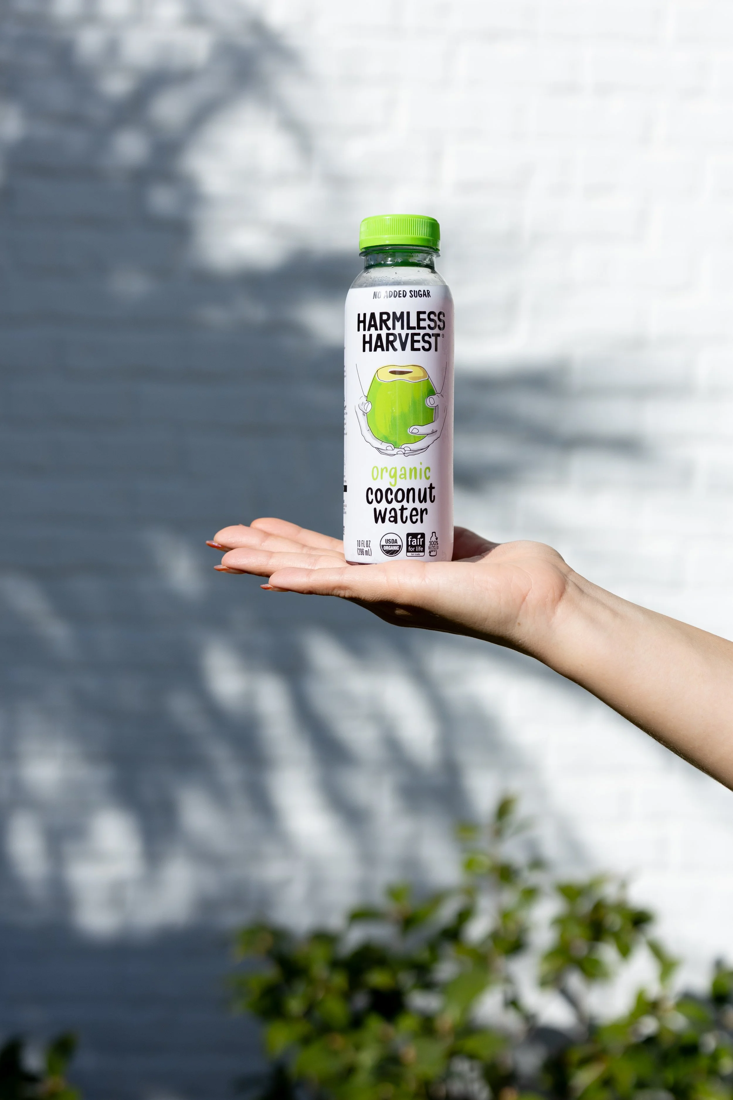harmless-9.jpg