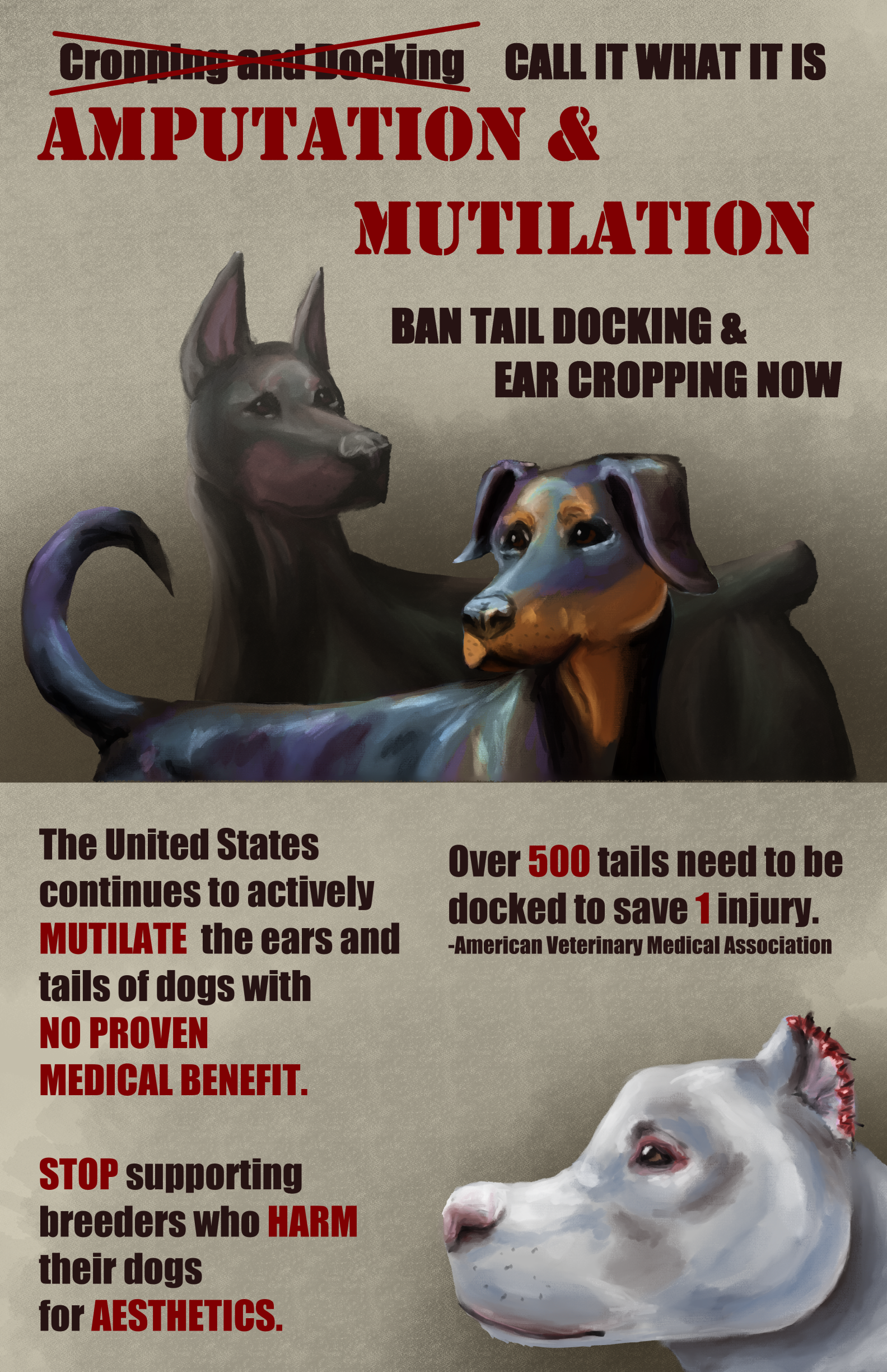 A poster advocating for banning tail docking and ear cropping in dogs with illustrated images of two dobermans and a pit bull.