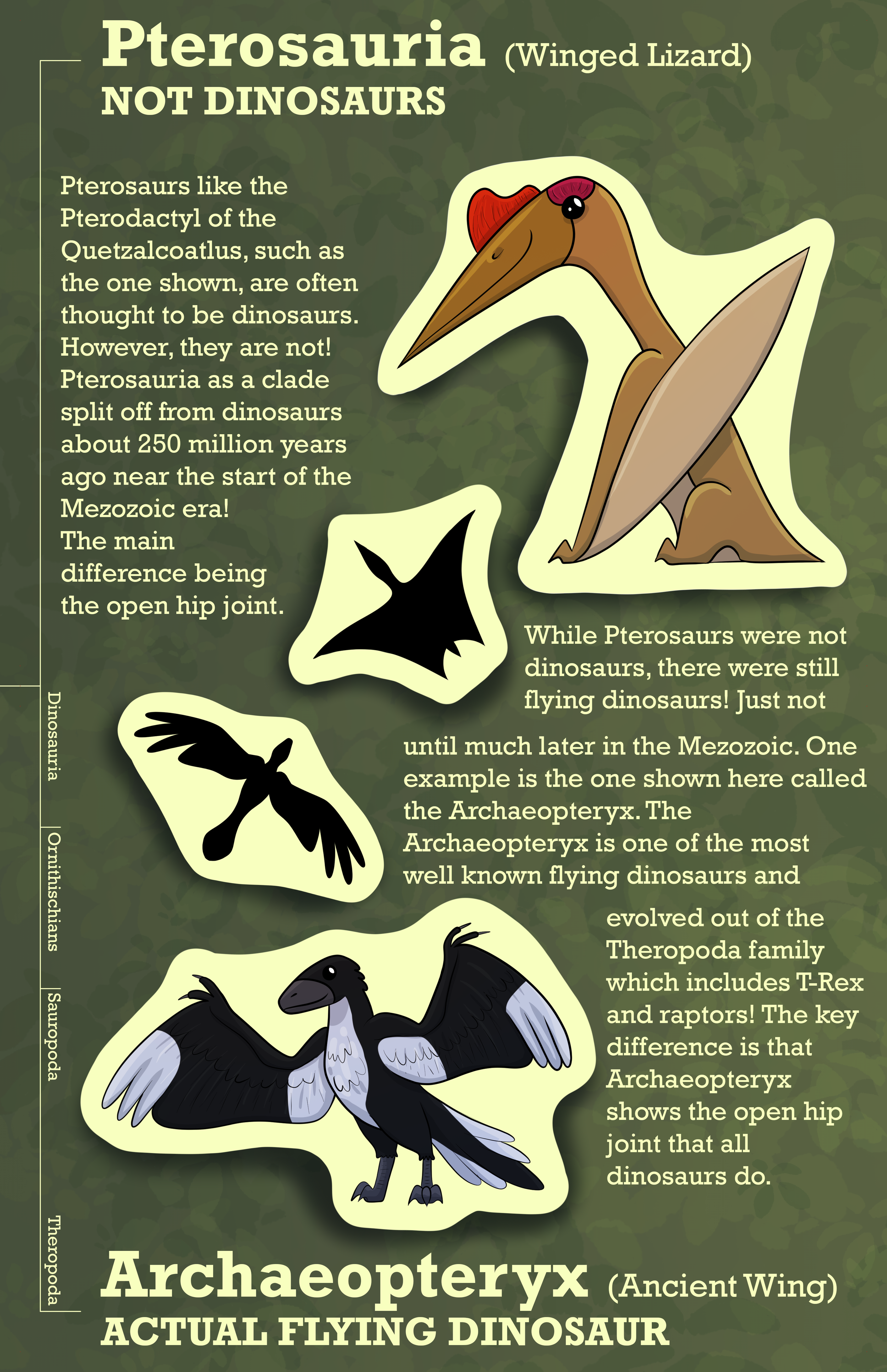 A poster meant for children showing a quetzalcoatlus and archaeopteryx describing the difference between pterosaurs and dinosaurs.