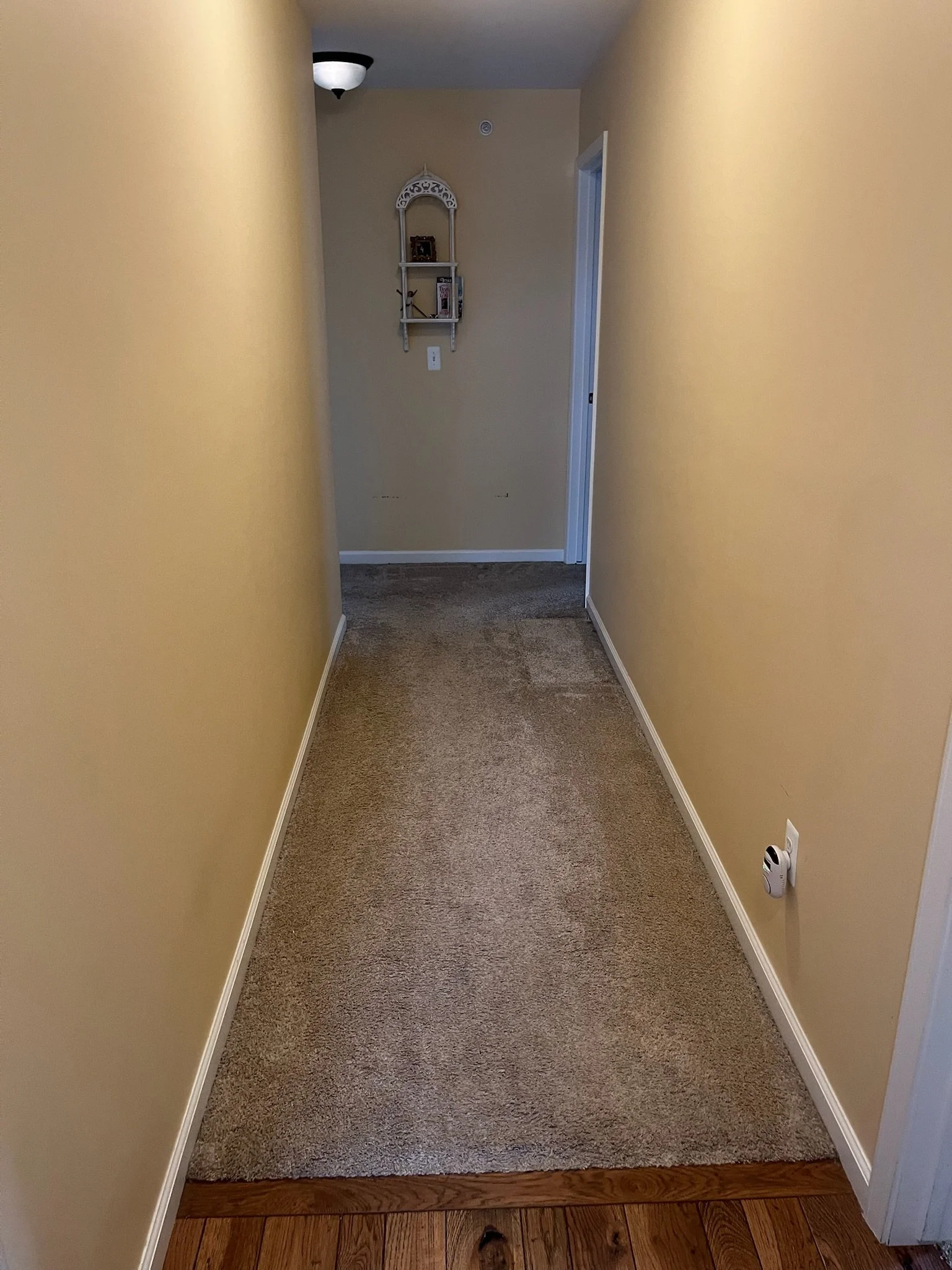 Empty hallway with beige walls, brown carpet, and white trim, leading to a doorway at the end, with a white shelf and a ceiling light.