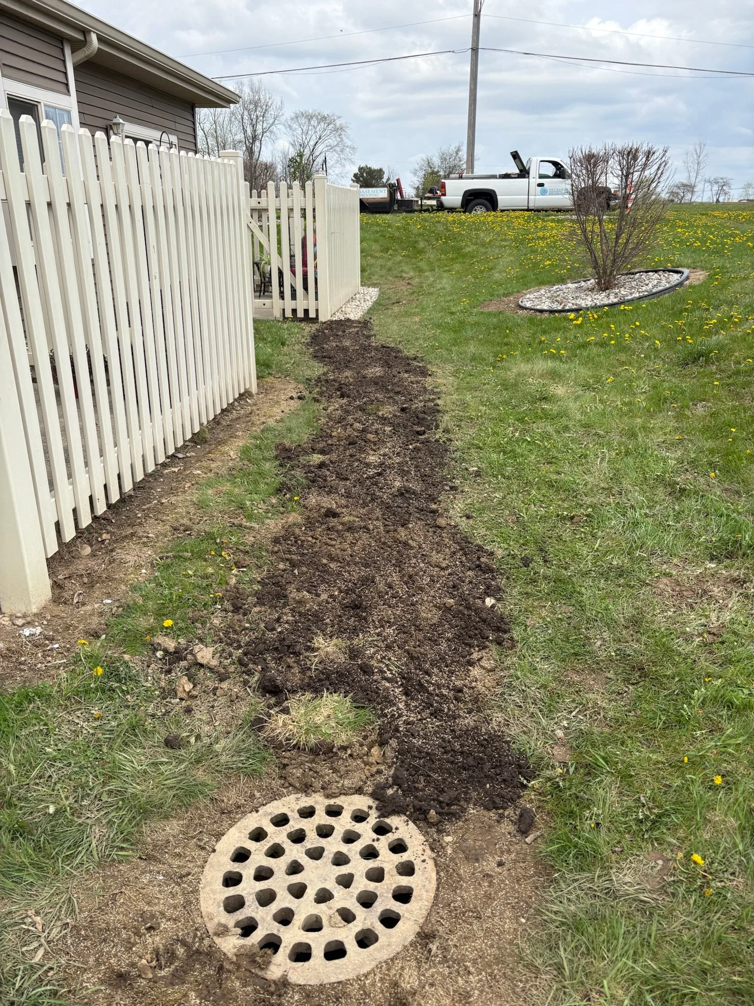 A backyard with a white fence, a dirt trench, and a drain cover in grass. There is a bush with rocks around it and a lawn with yellow dandelions. A white truck is parked on the lawn with a trailer attached.