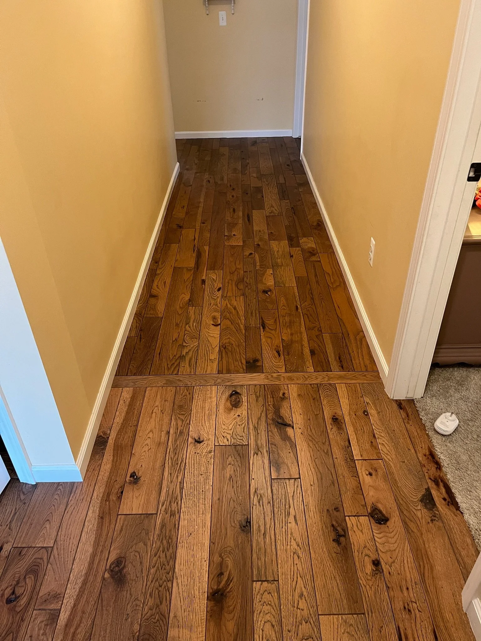 A hallway with hardwood floor and yellow walls. There is a doorway on the right and an electrical outlet on the wall in the background.
