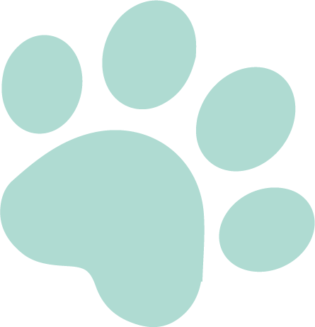 dog walking for nervous dogs Wimbledon small group environment