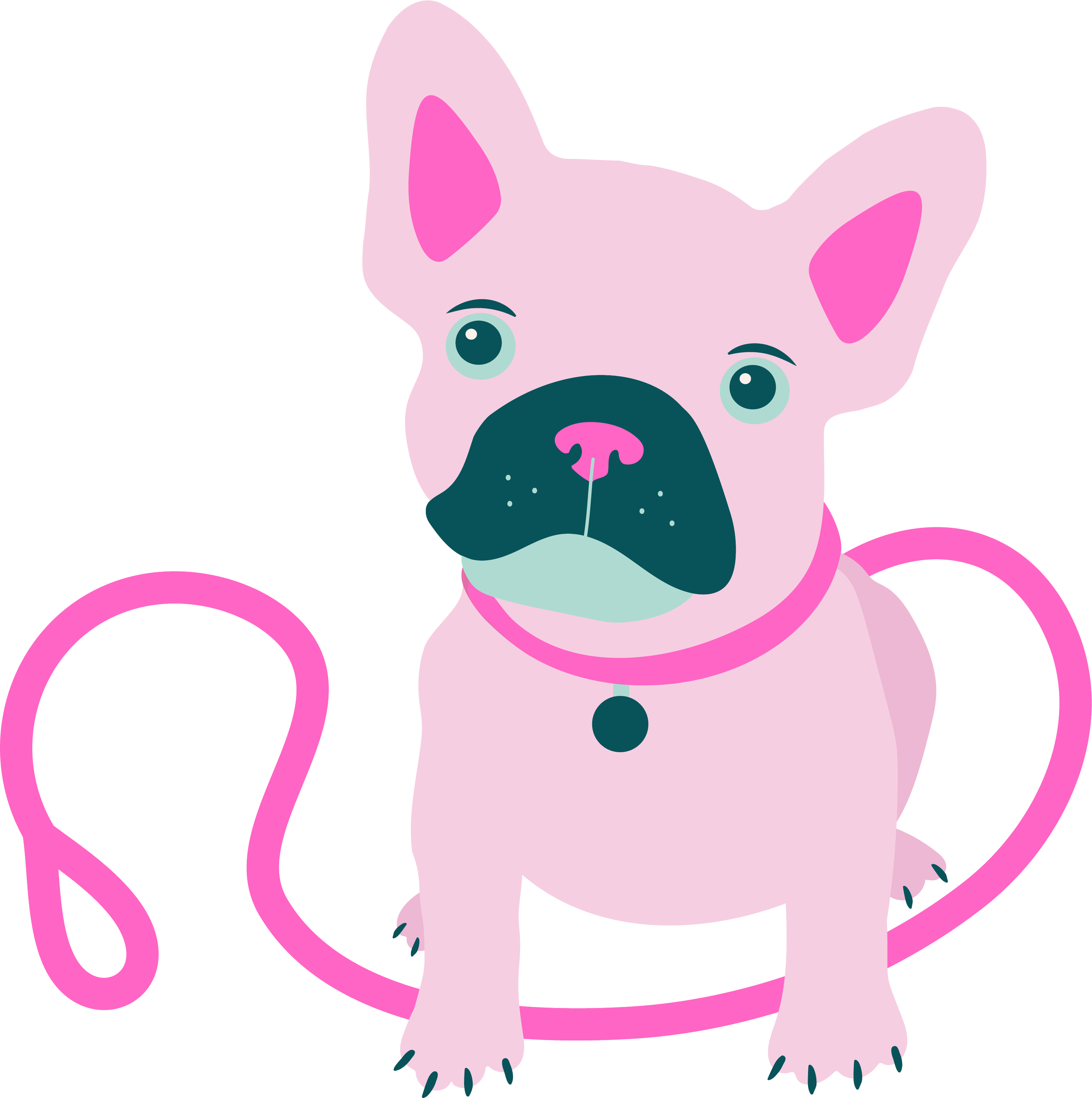 professional dog care Wimbledon dog walking and grooming services