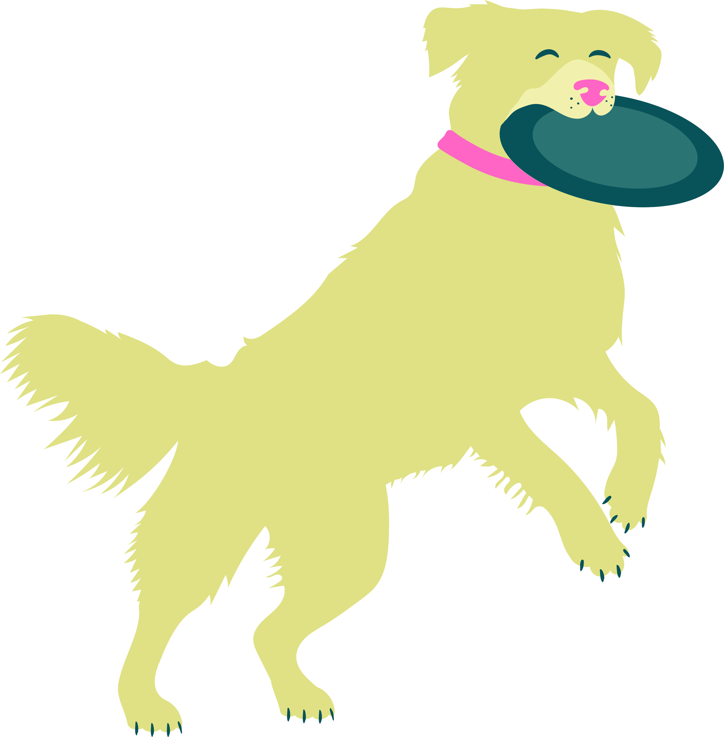 Illustration of a happy dog standing on its hind legs, holding a frisbee in its mouth, with a pink collar around its neck.