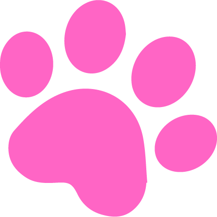Pink paw print on a black background.