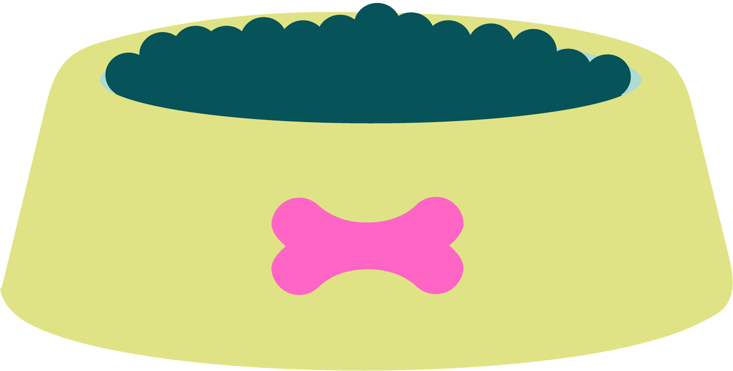 dog care Wimbledon experienced and qualified dog professional