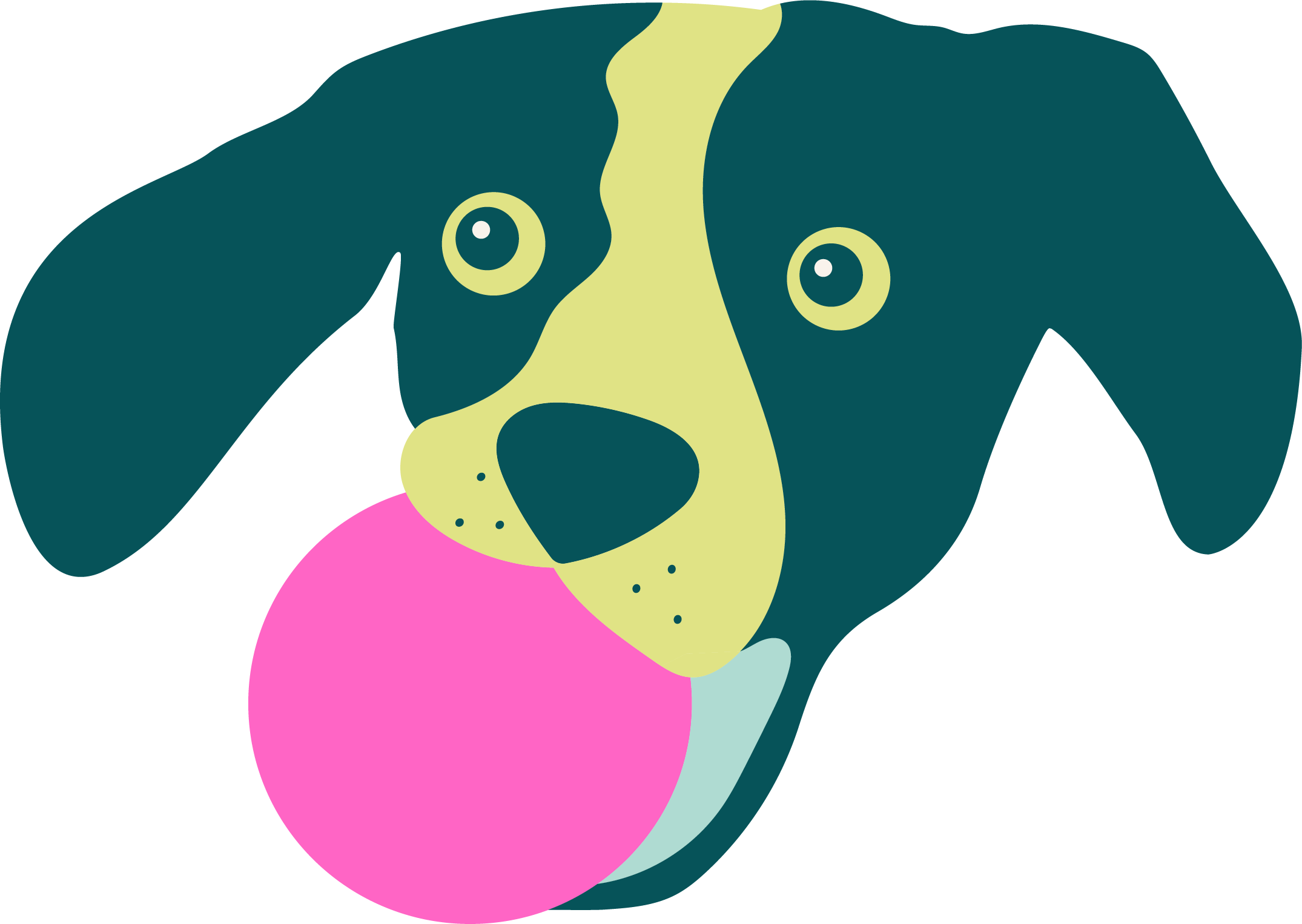 An illustration of a dog's face with black and cream fur, with big expressive eyes, tongue out, and wearing a pink collar.