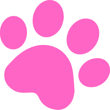 dog enrichment walks Wimbledon outdoor exploration dog care London