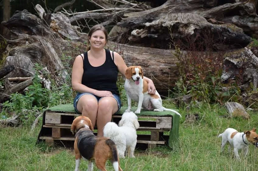 dog day care alternative Wimbledon structured dog walking and exploration service