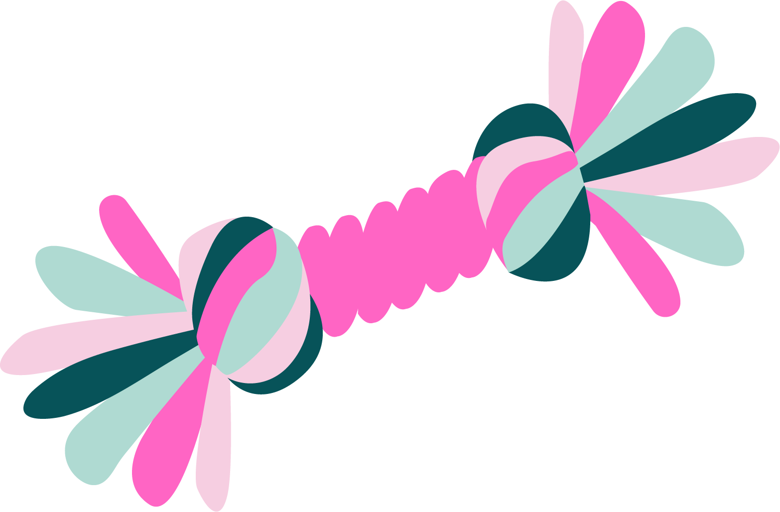 Colorful illustration of a caterpillar with pink, purple, teal, and dark green patterns, and large wing-like body segments.