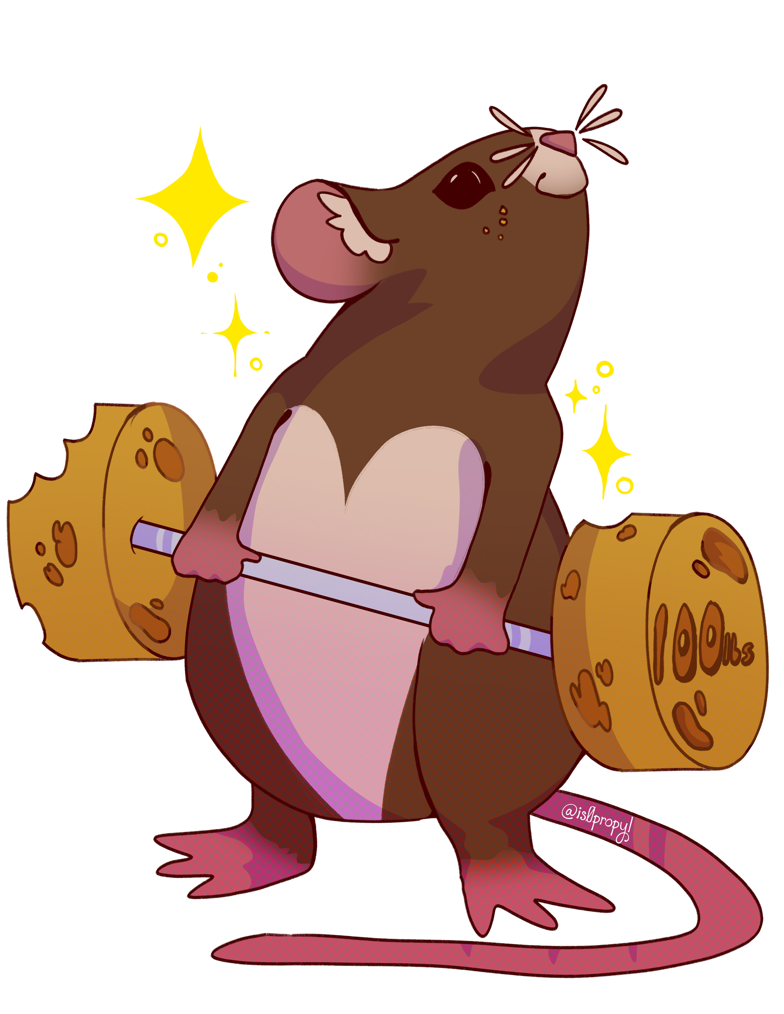 gymrat 2.png