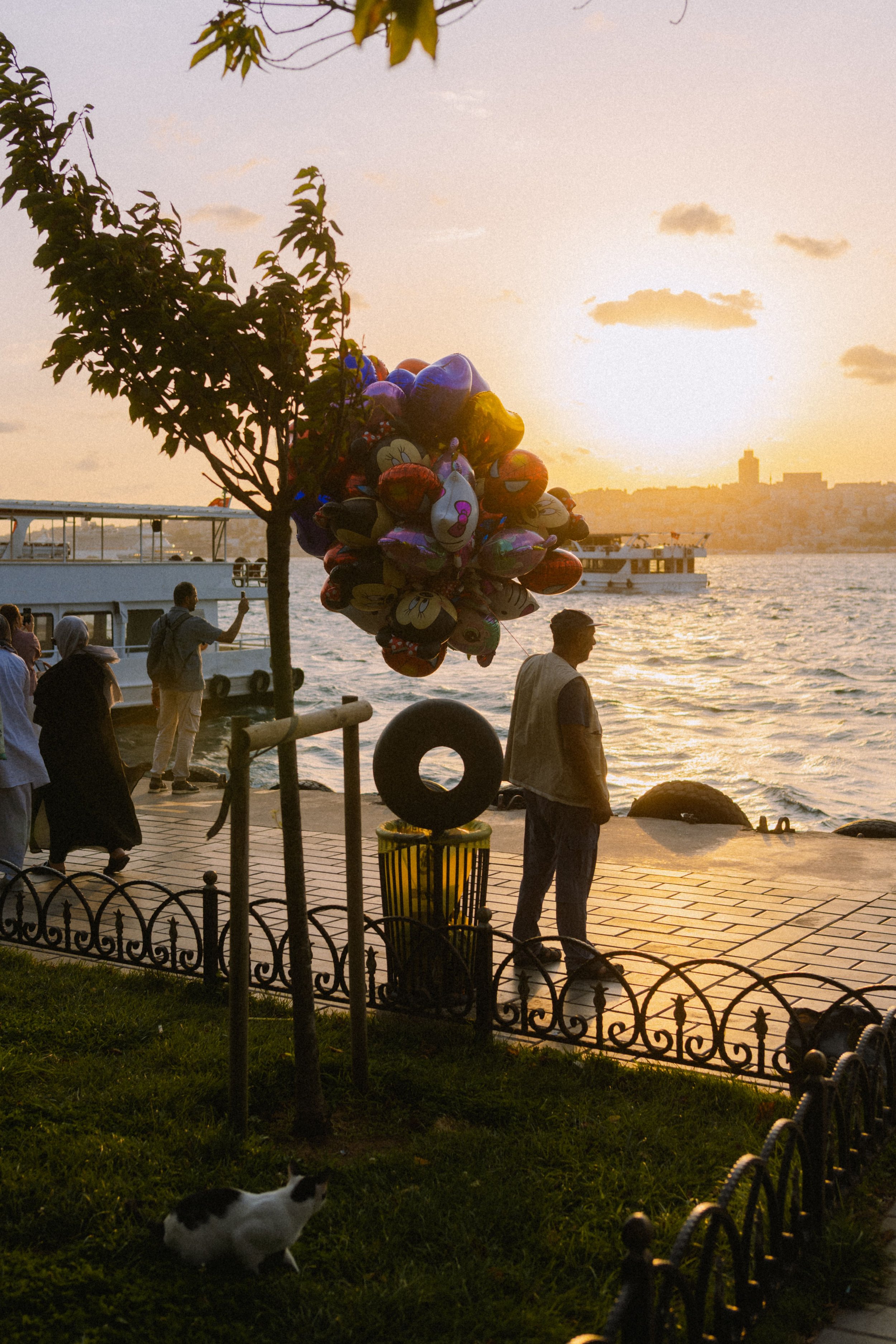 People standing by the water at sunset, with a cluster of colorful balloons shaped like cartoon characters, a boat on the water, and a city skyline in the distance. A cat is in the foreground near the grass.