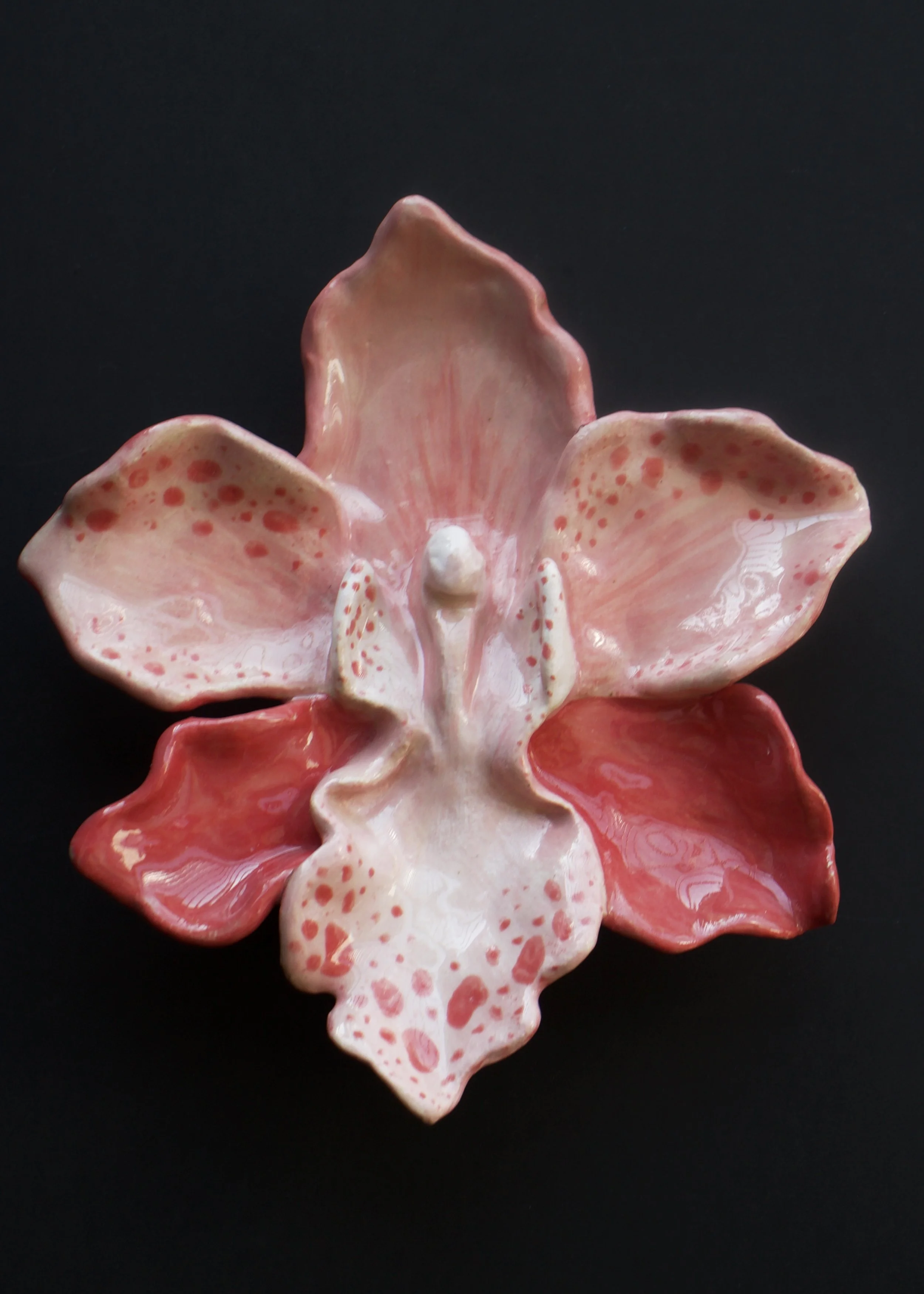 Ceramic Orchid, stoneware, 5" x 5" x 1", 2025