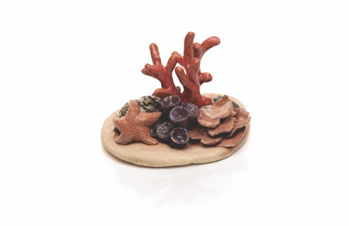 Reef, stoneware, 4" x 3" x 3", 2025