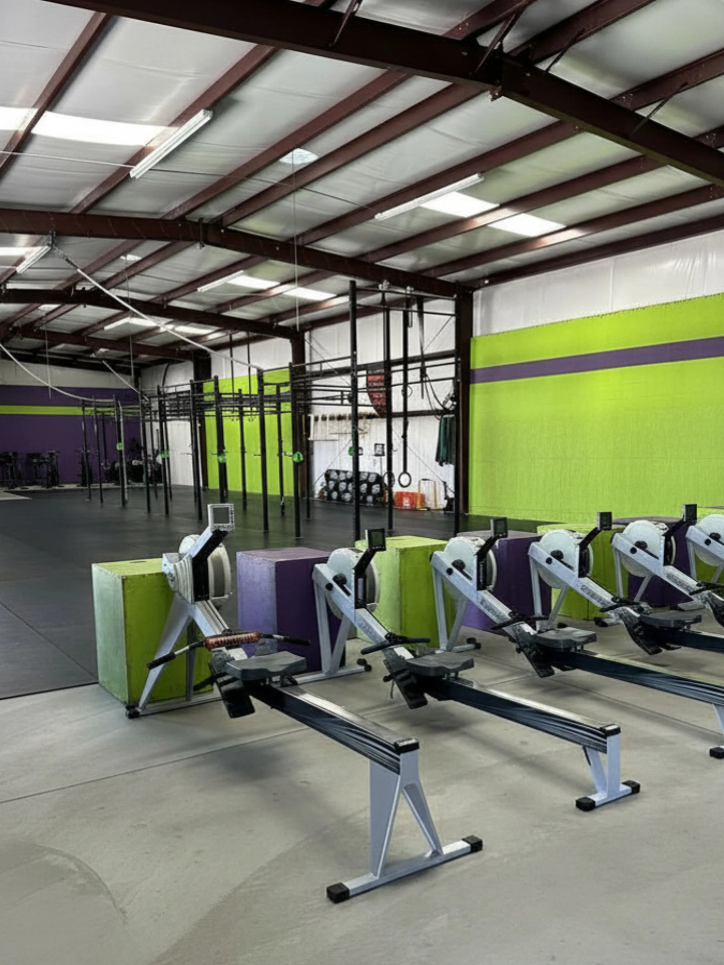 Inside a gym, rowers with black seats and foot straps are lined up next to a black and white floor, with a black rig structure and gym equipment against a wall painted with purple and green stripes.