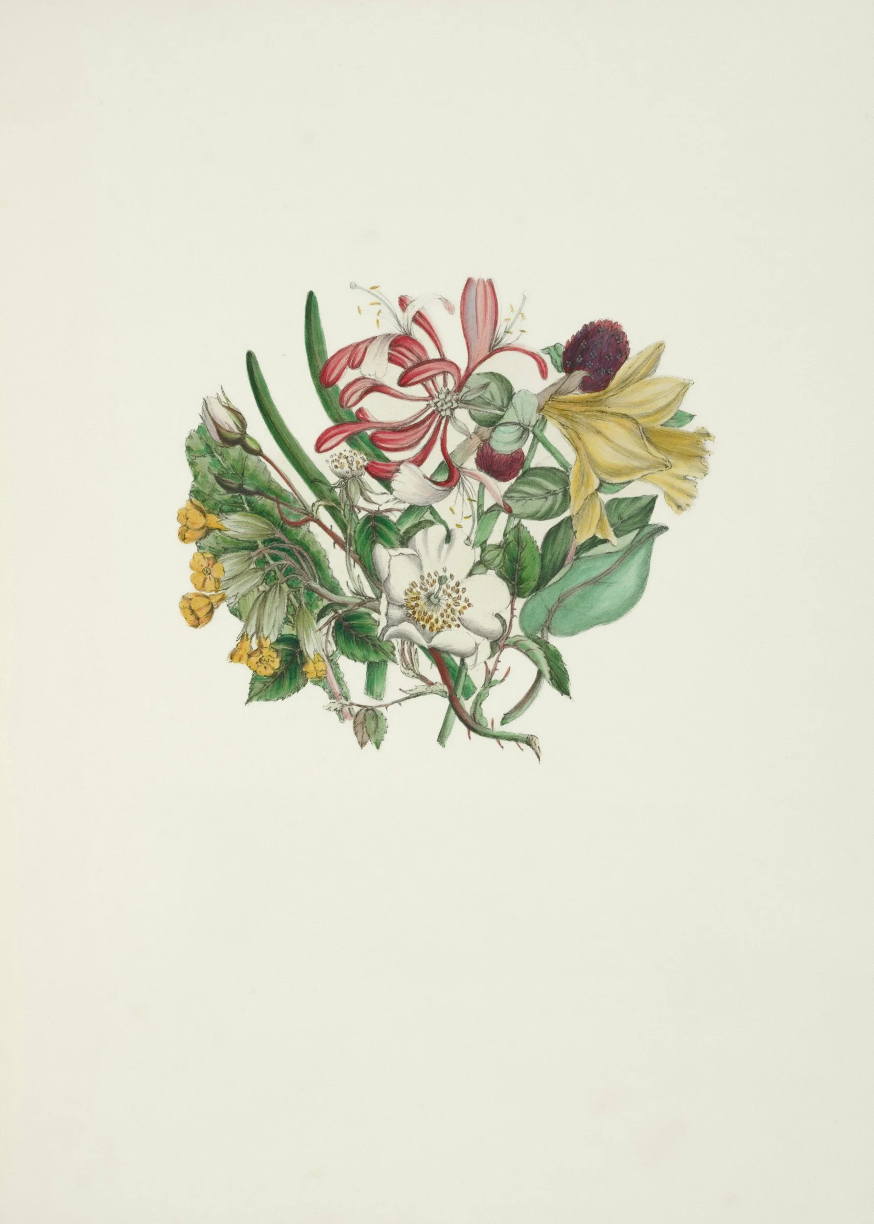 A detailed and colorful illustration of various flowers including lilies, roses, and daisies, with green leaves, arranged in a cluster on a white background.