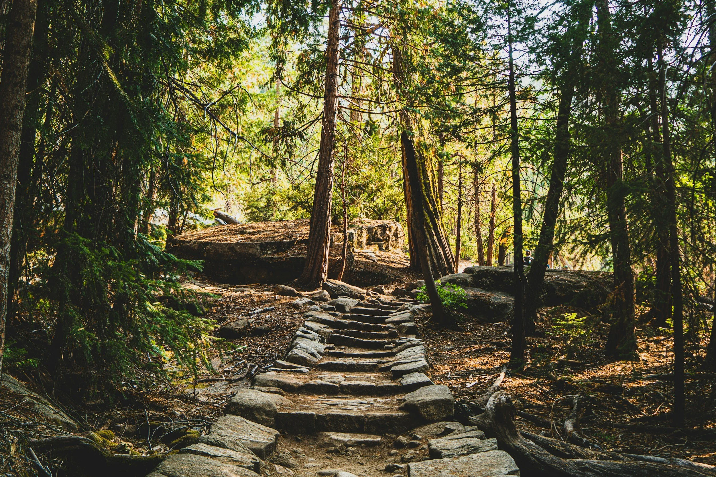 How Acceptance and Commitment Therapy Helps You Move Toward What Matters Most