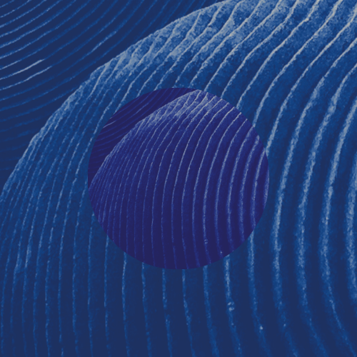FNDART01 (7).png