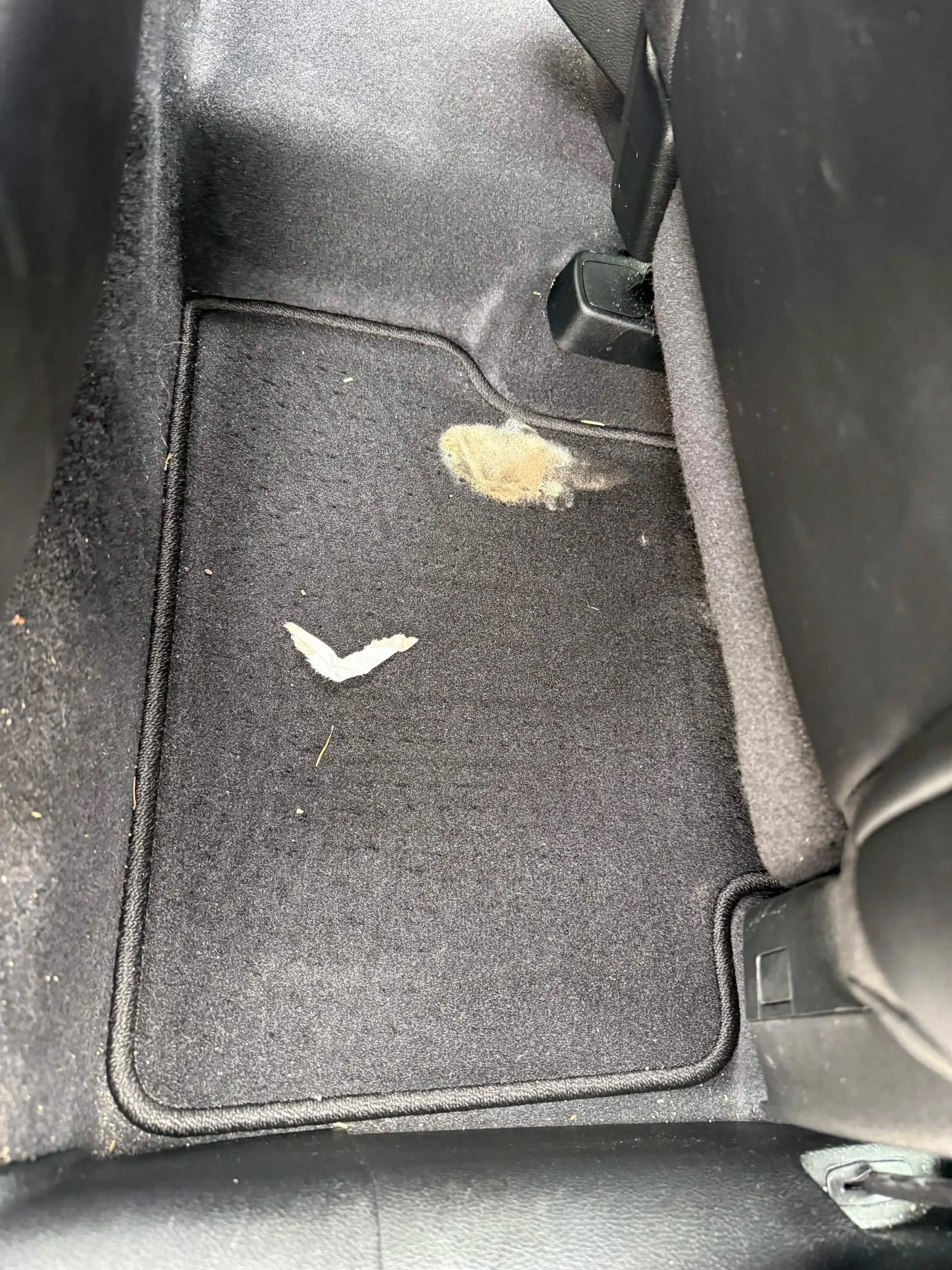 stain+before.jpg
