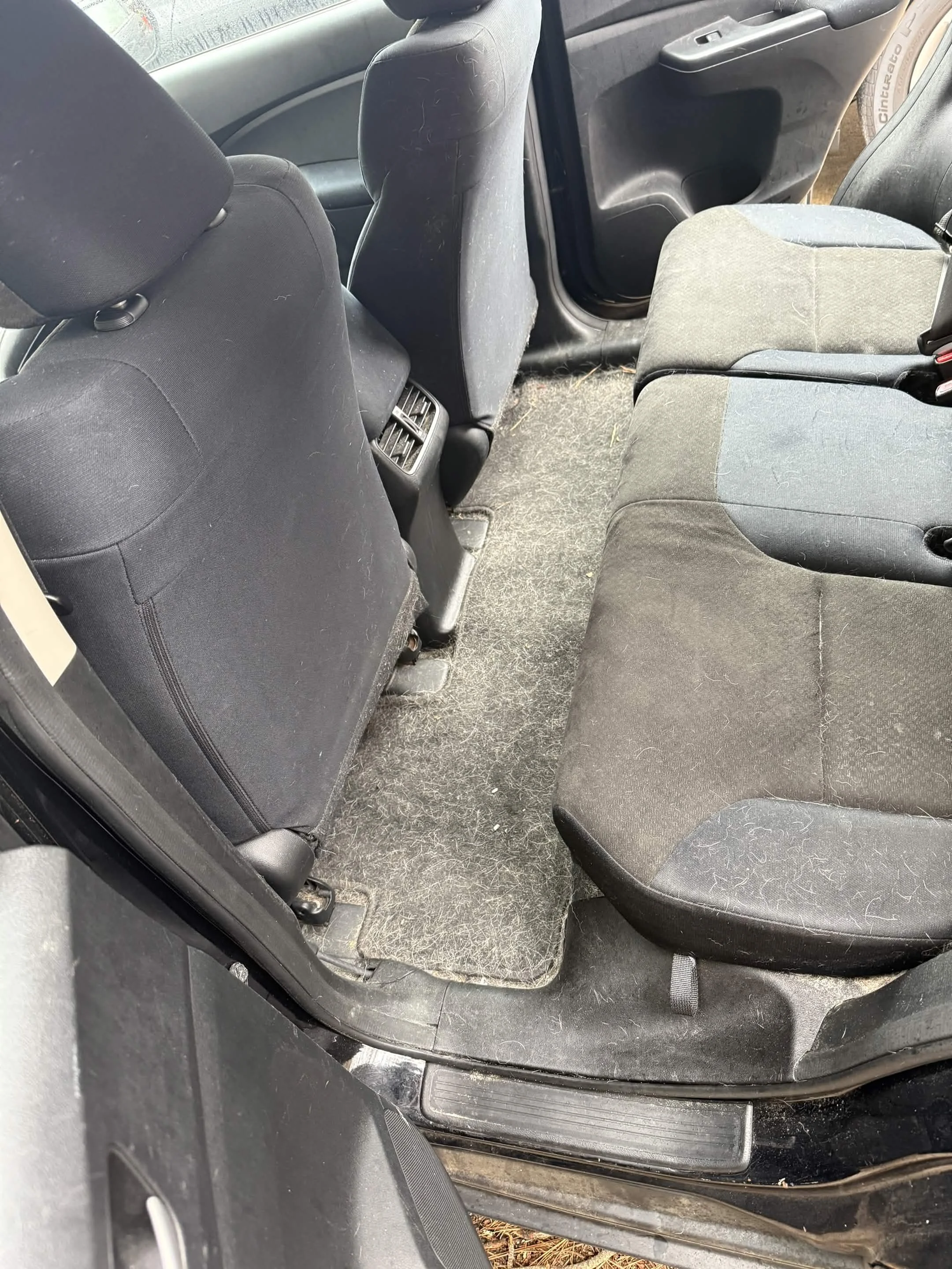 Interior of a car showing the backseat area, which is dirty and covered with hair and debris, with black cloth seats and floor mats.