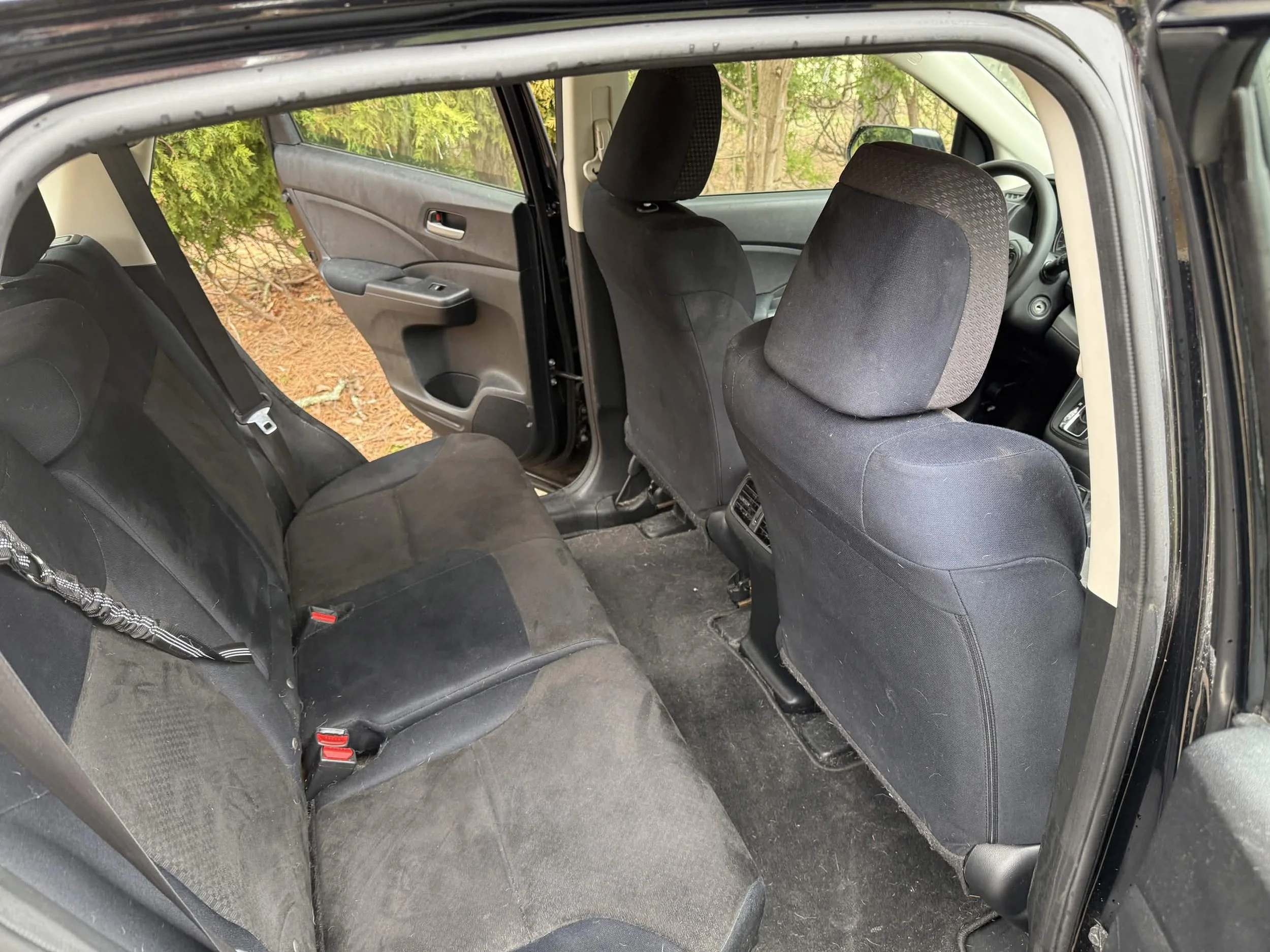 The interior of a black SUV showing the back seats and front seats, with a door open revealing a forested area outside.