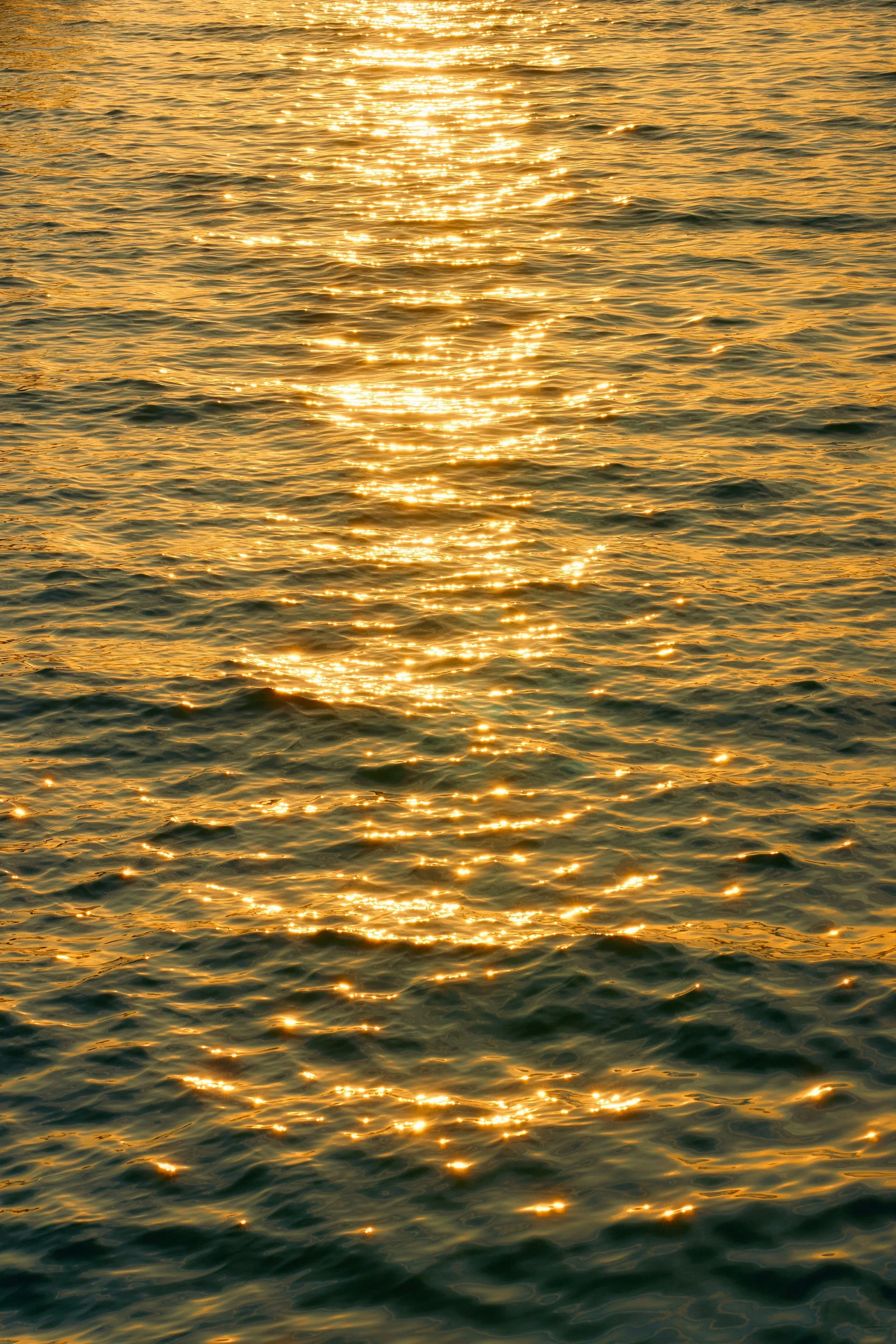 Sunlight reflecting on the water during sunset or sunrise.