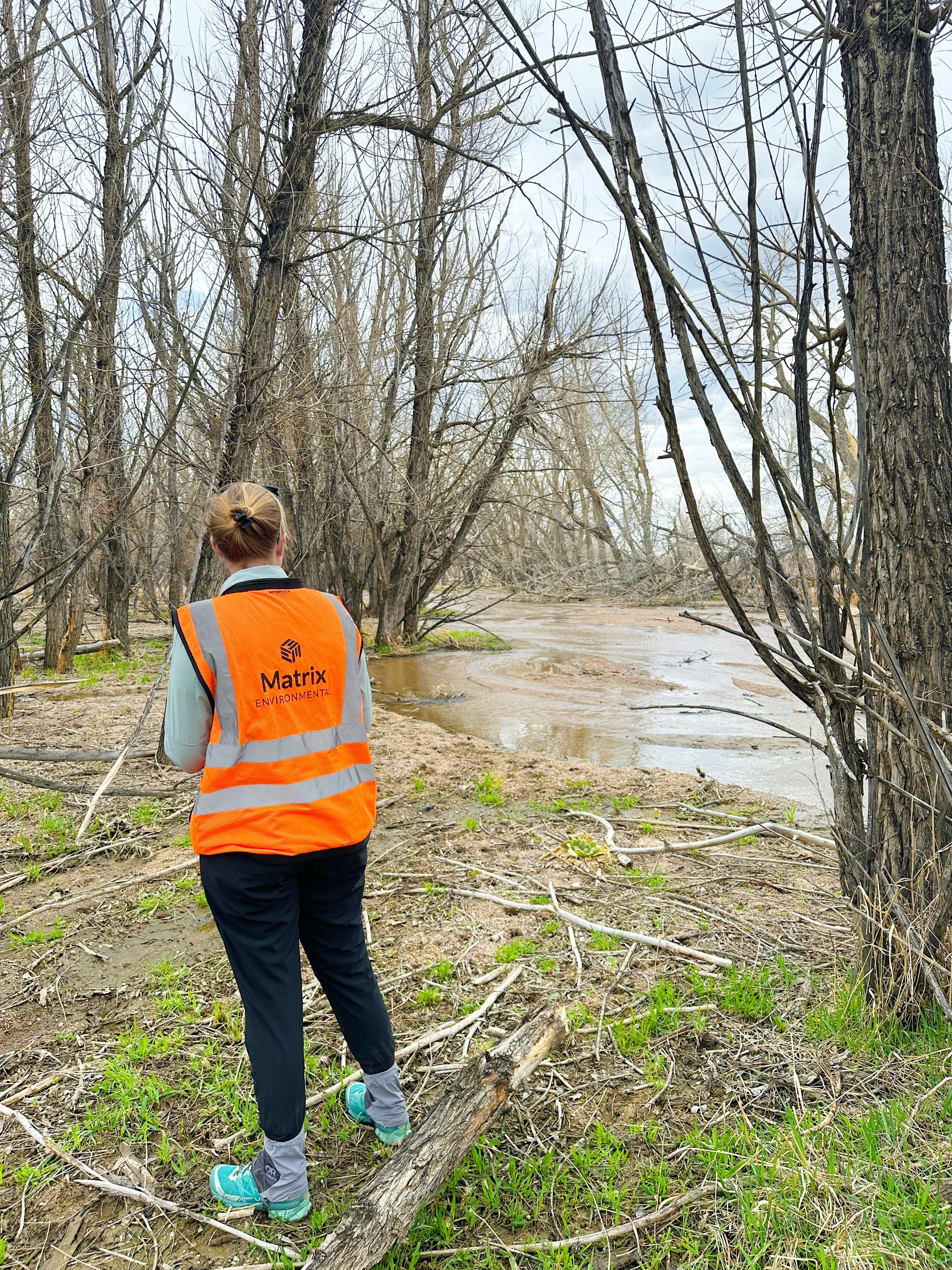 Environmental scientist viewing a stormwater drainage area after a storm in El Paso County