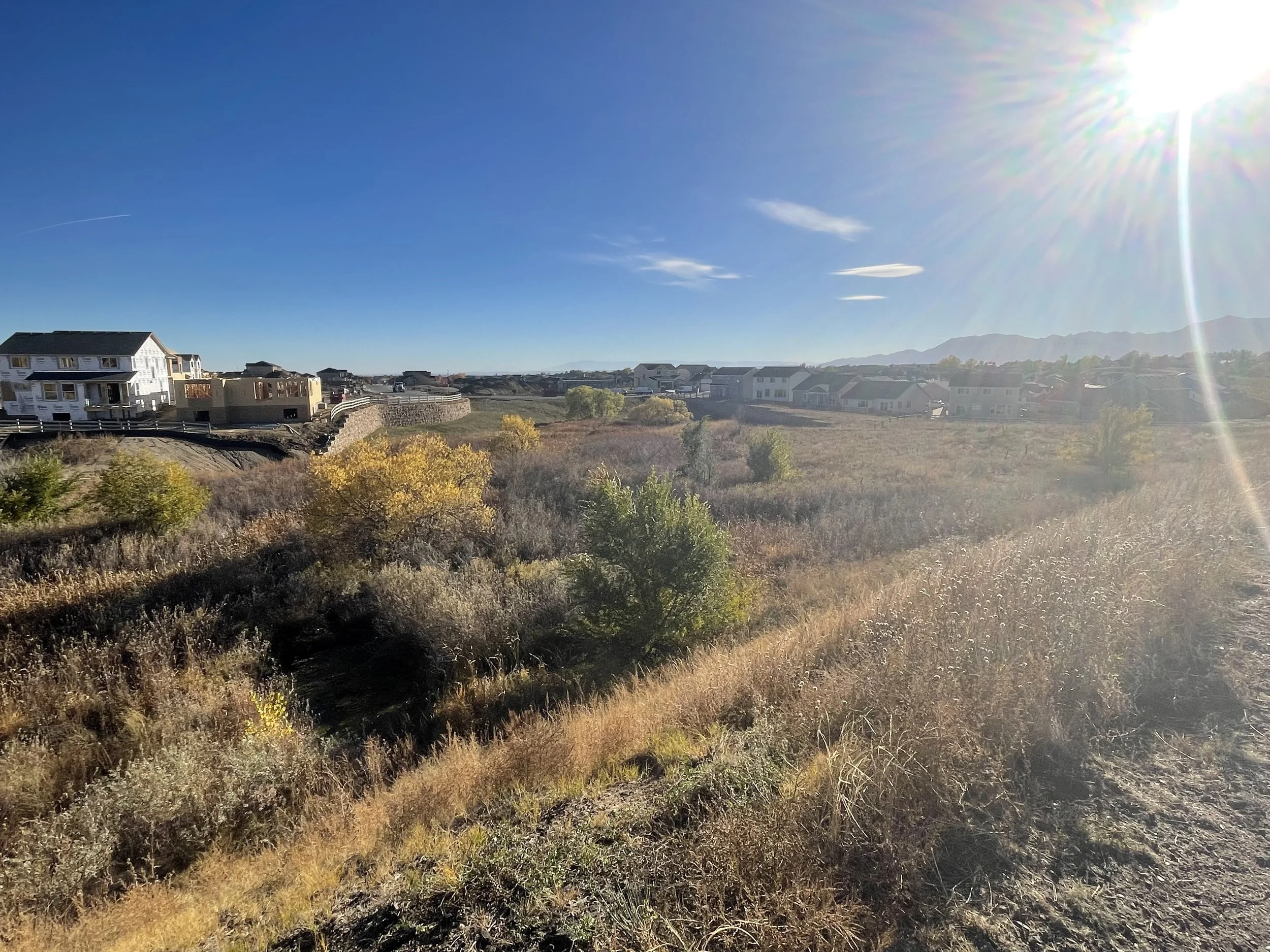 Residential area in Eastern El Paso County showing a nature area.